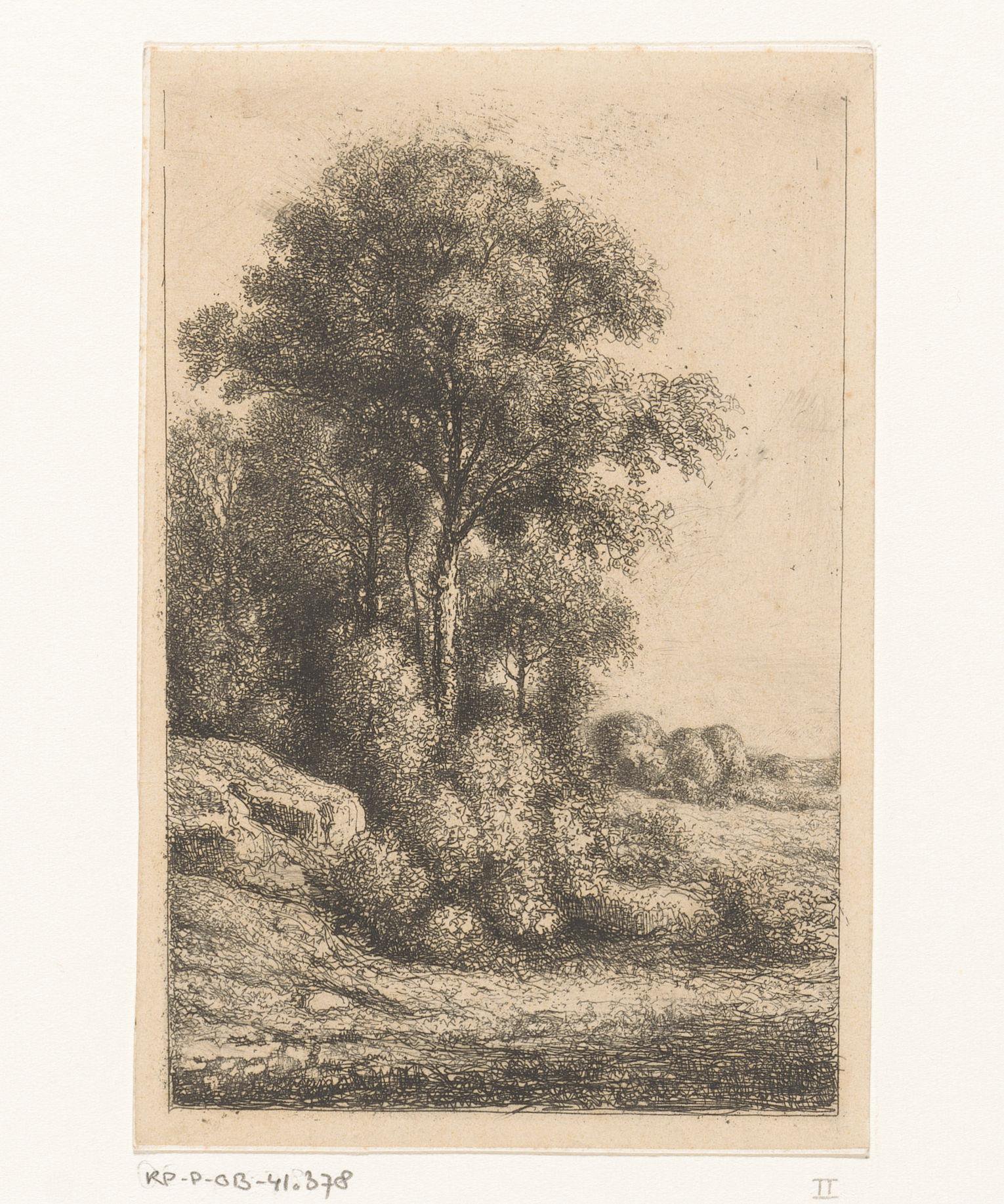 Bomen en struikgewas op een glooiing
