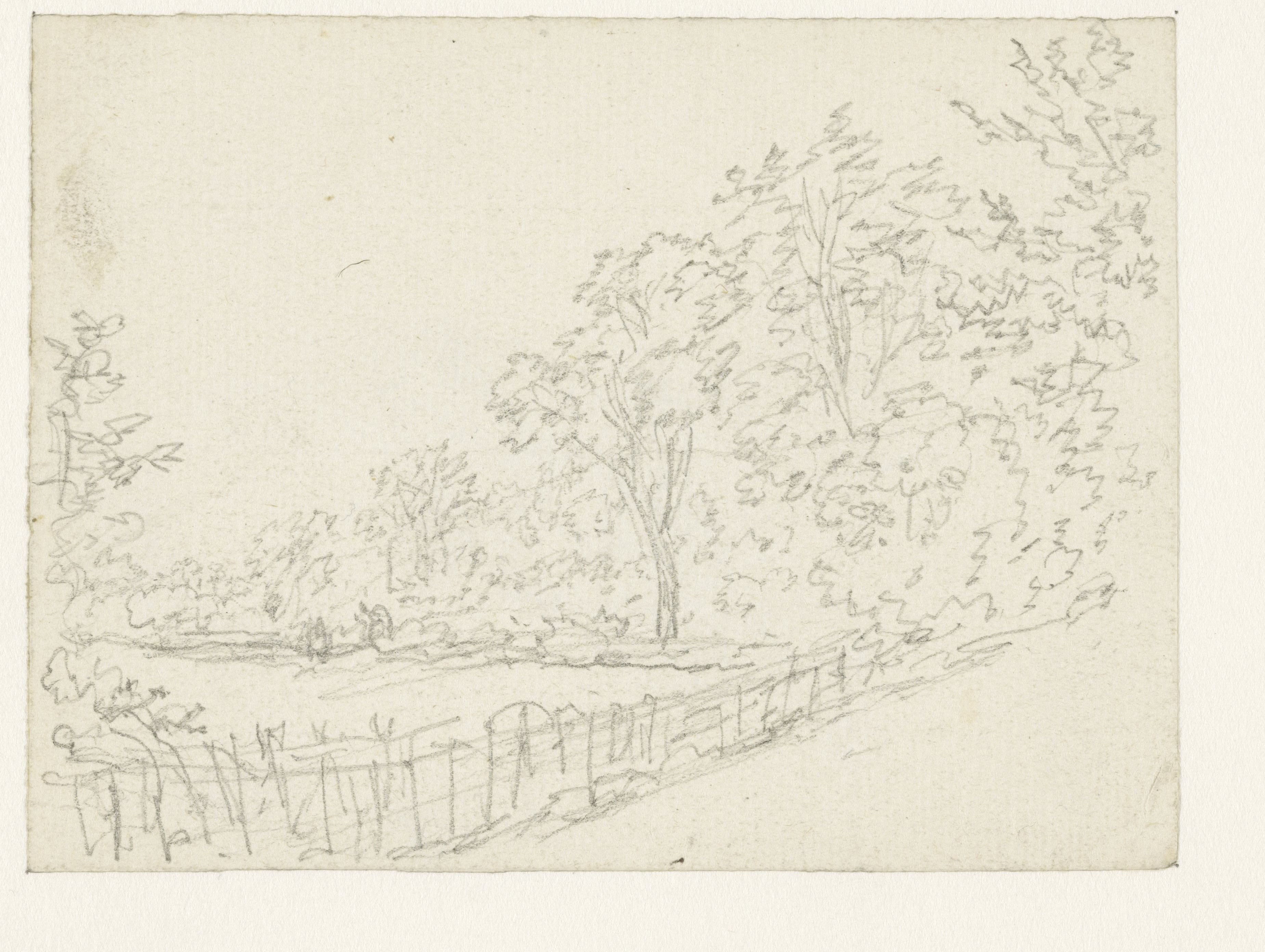 Landschap met heining en bomen