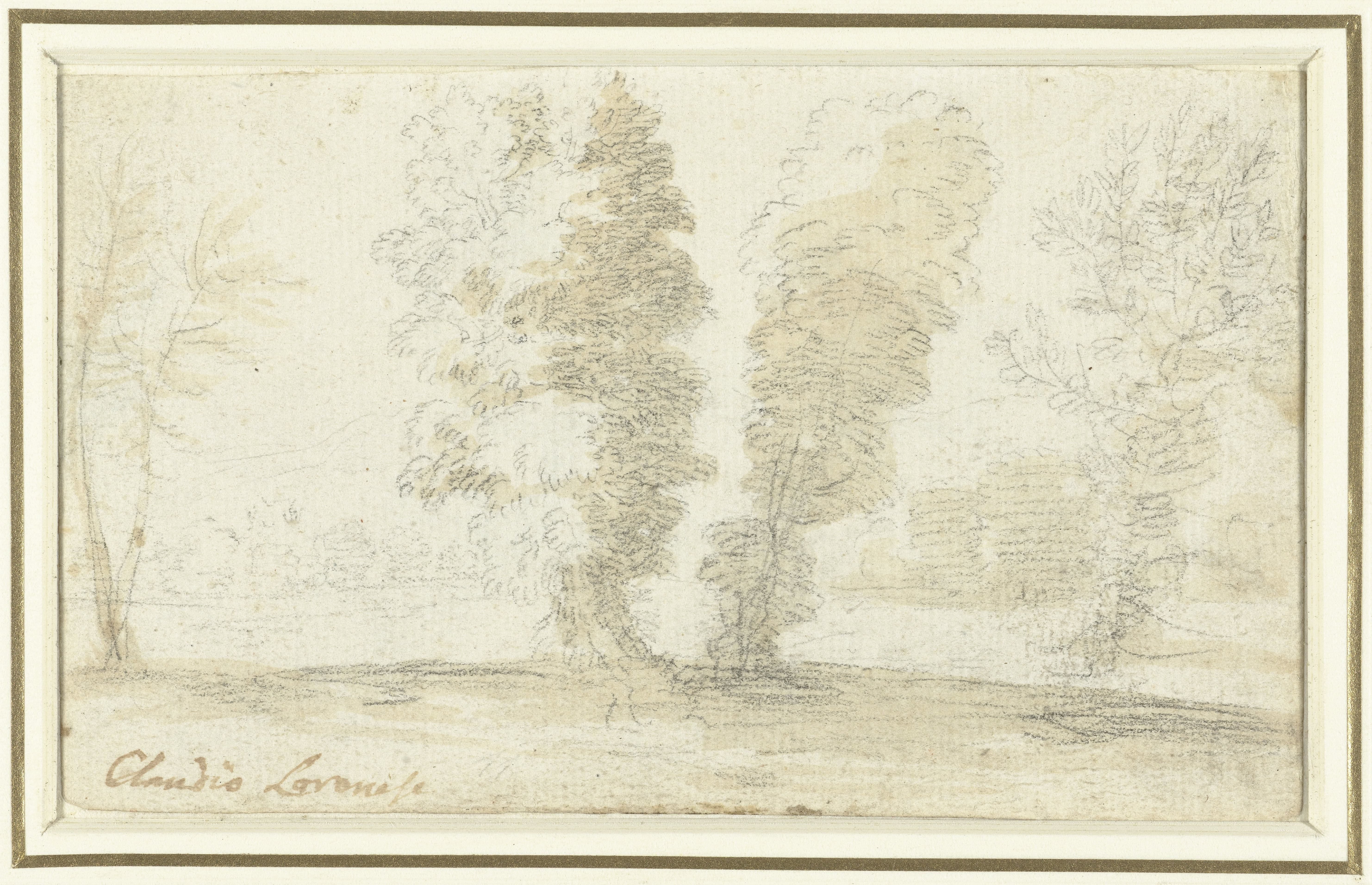 Enkele hoge bomen voor een open veld