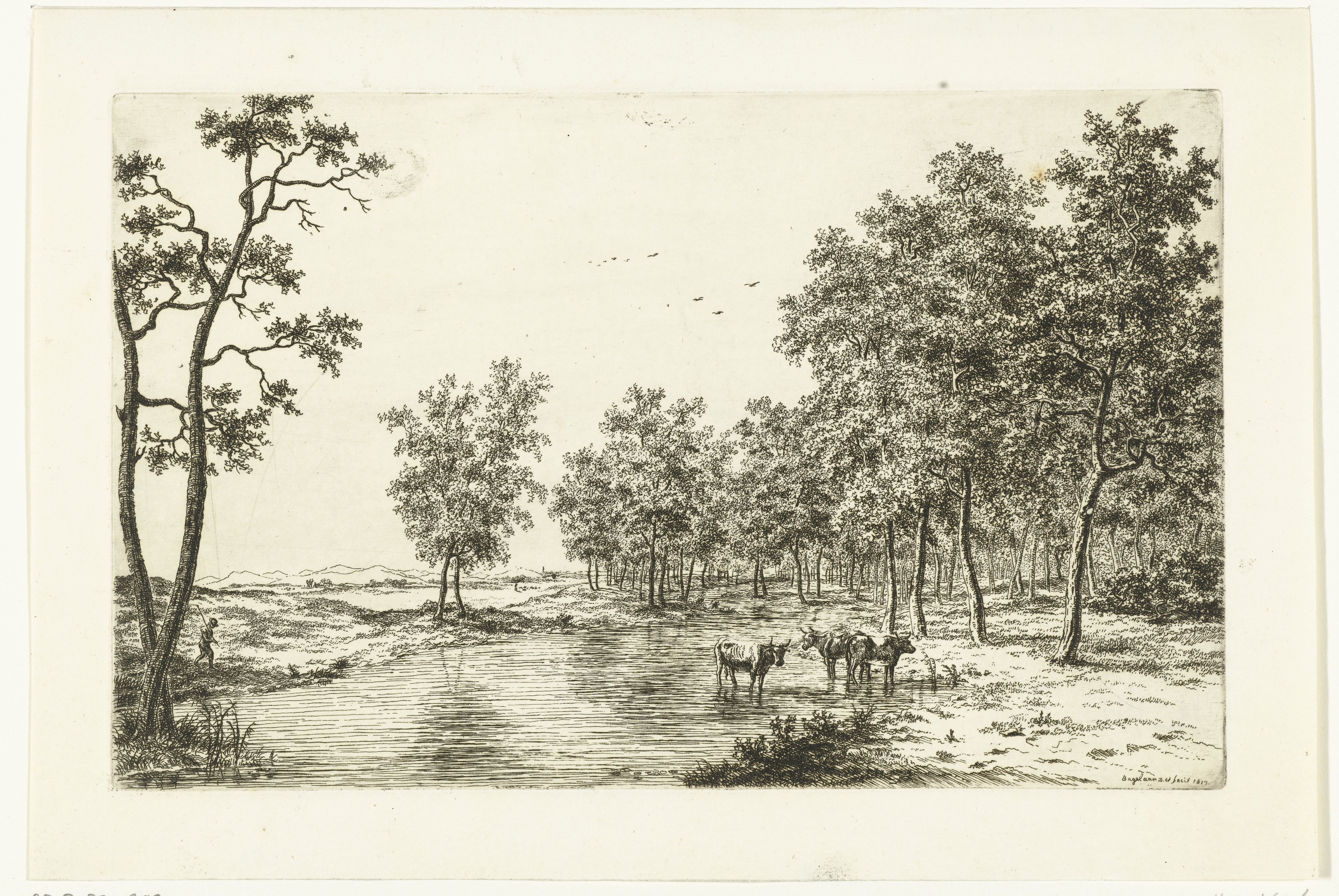 Landschap met drie koeien in een plas