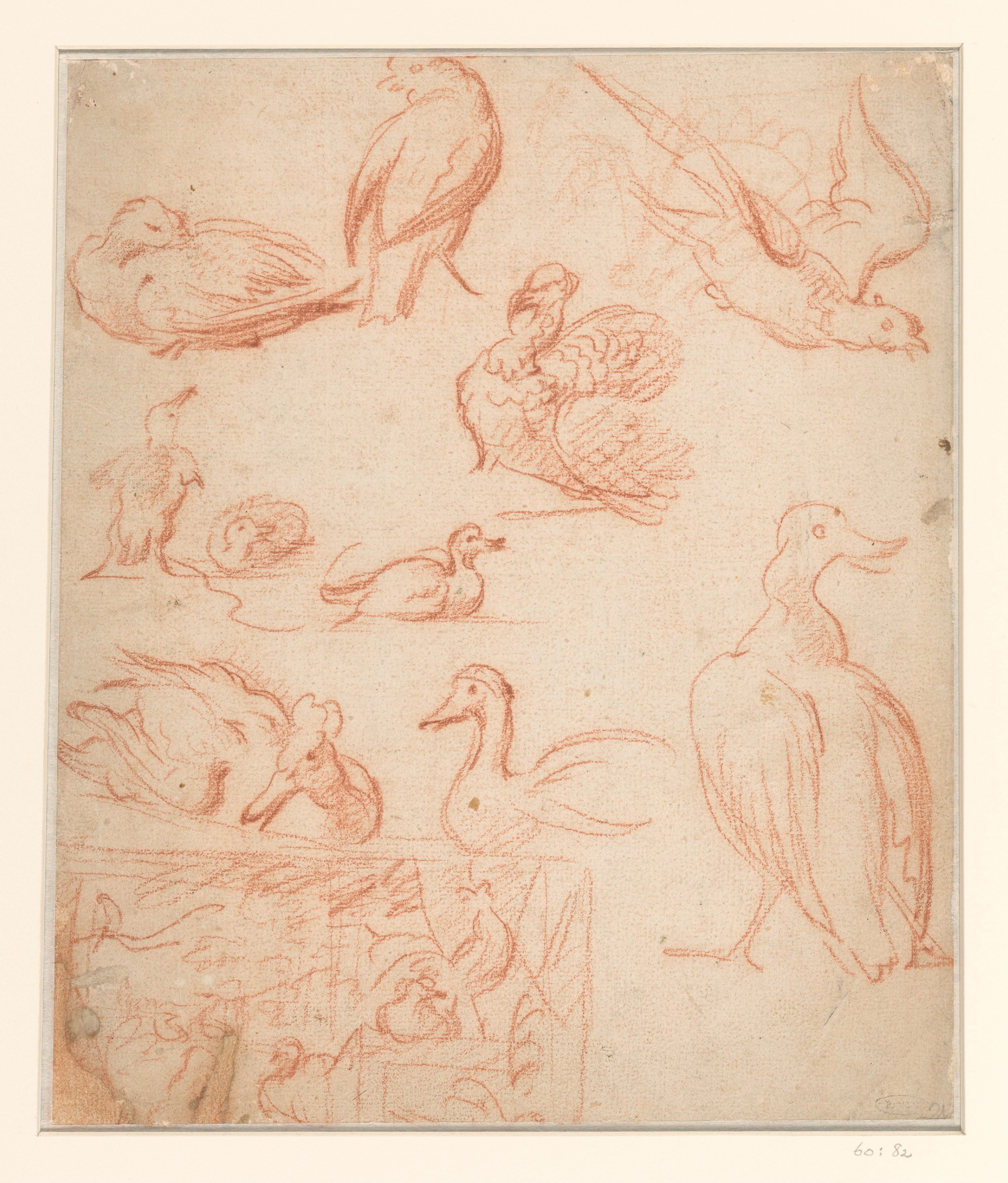 Schetsen van een compositie en verschillende vogels