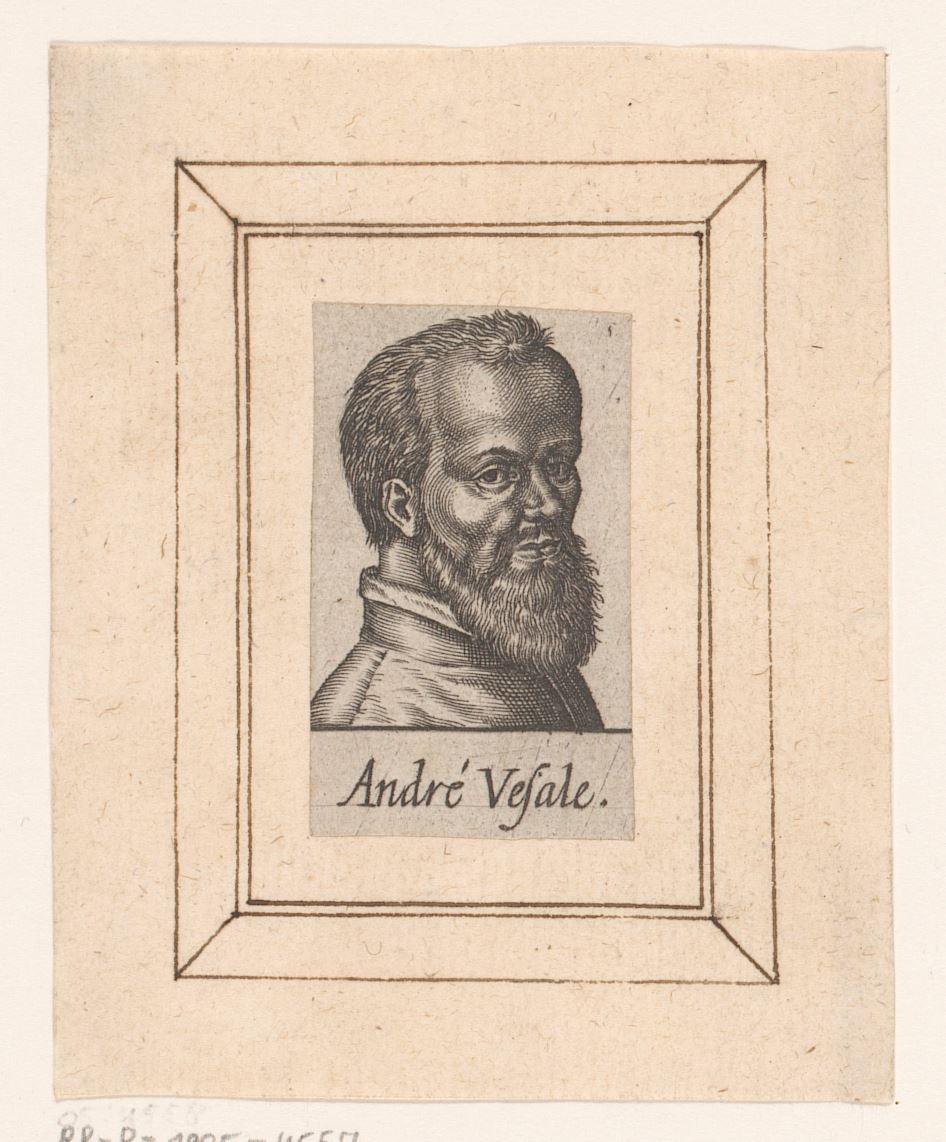 Portret van Andreas Vesalius