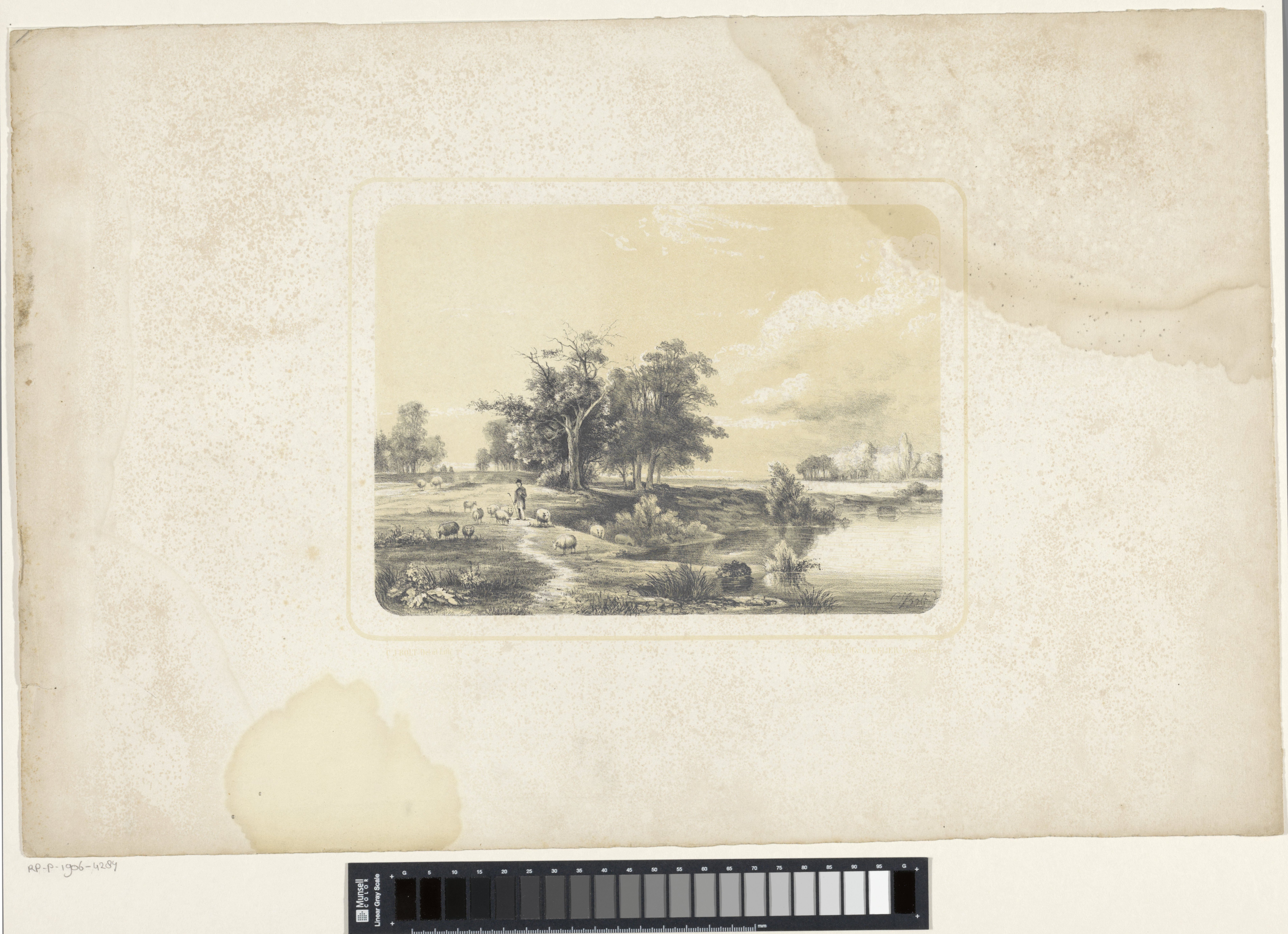 Landschap met herder en schapen