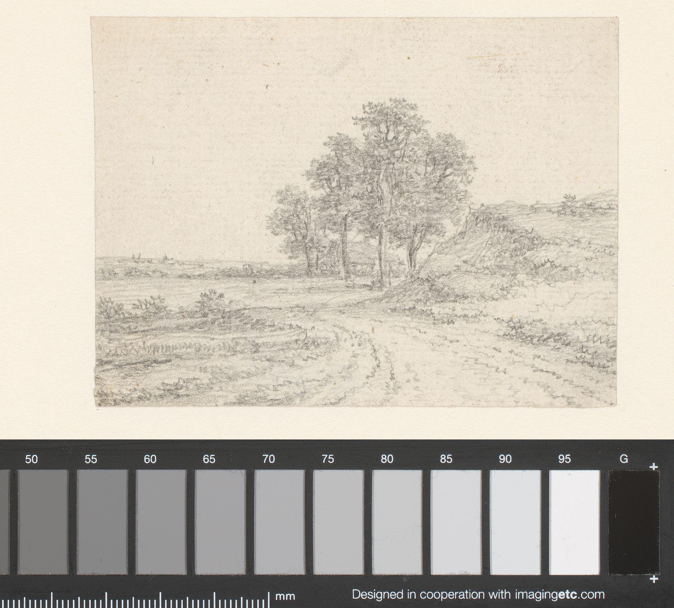 Landschap met landweg