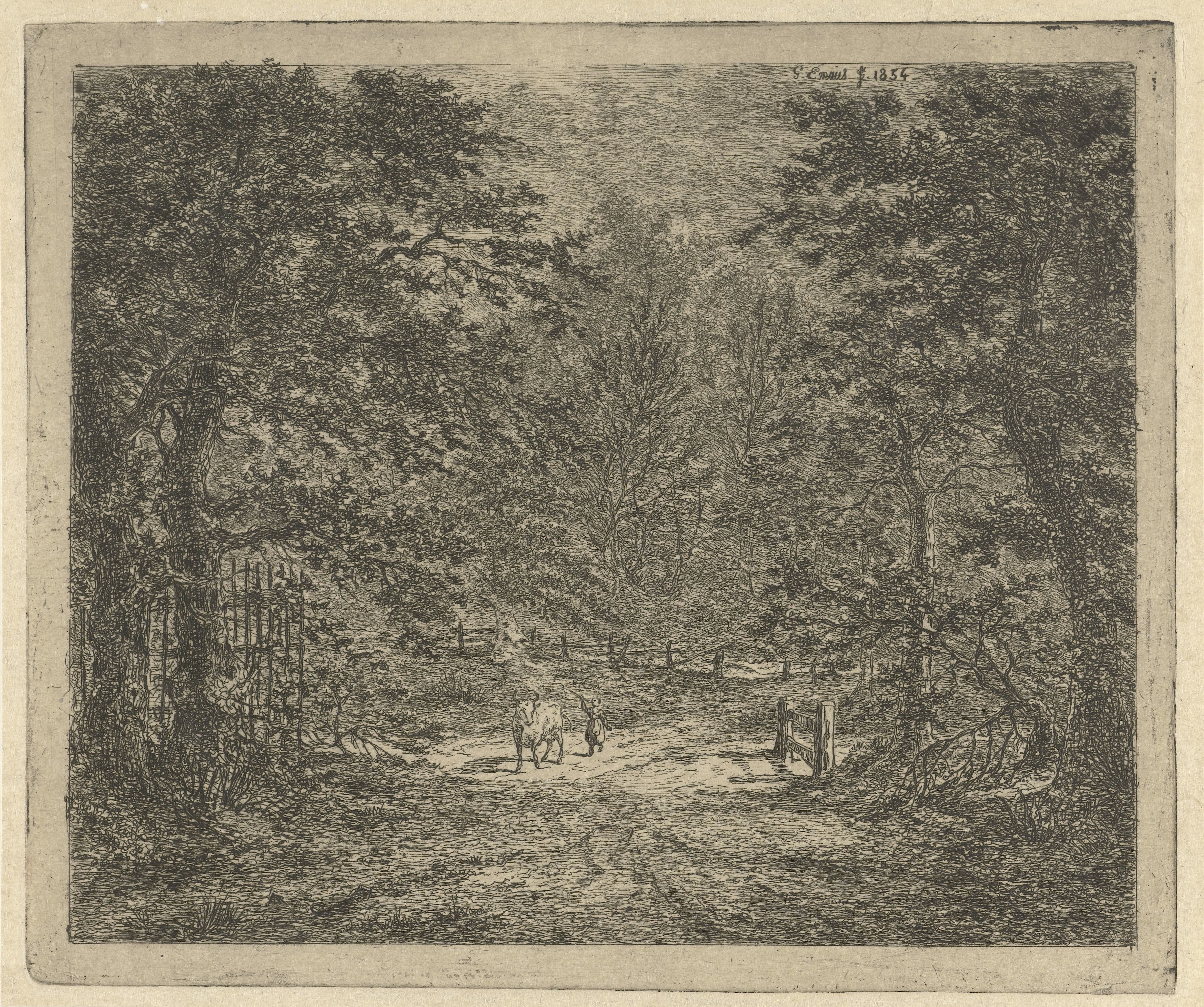 Herderin met koe in het bos
