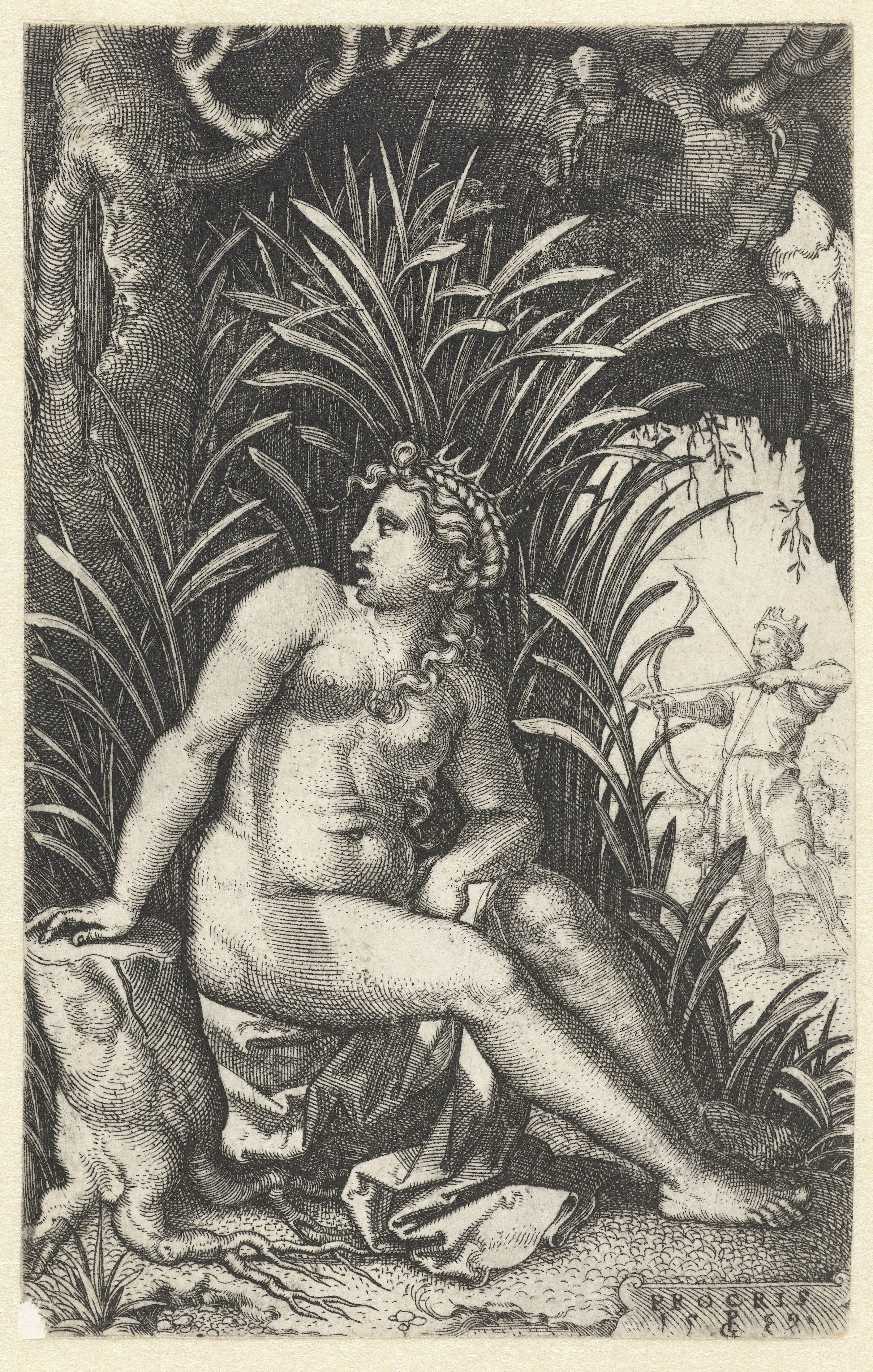 Procris bespiedt Cephalus