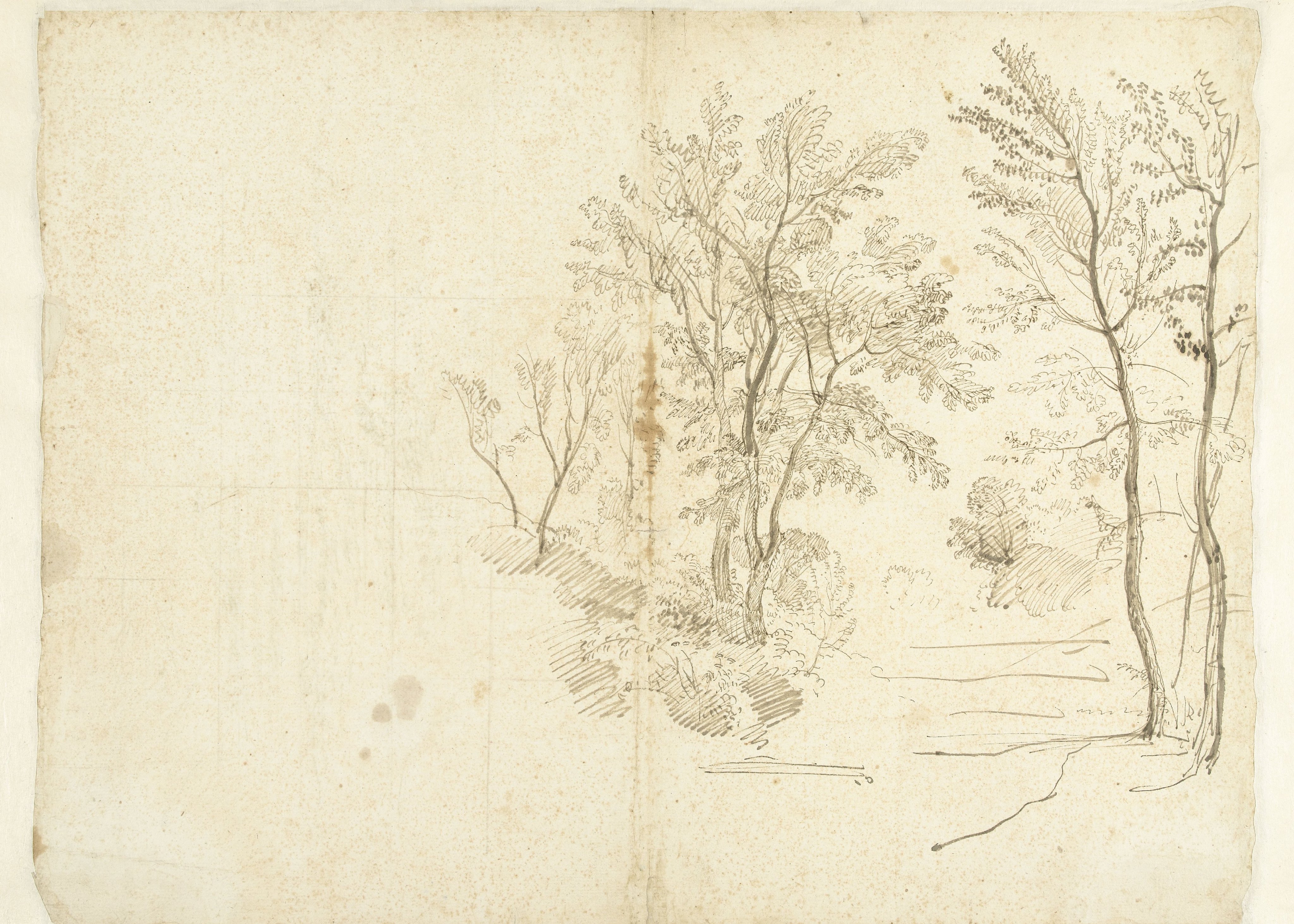 Group of Trees in the Roman Campagna
