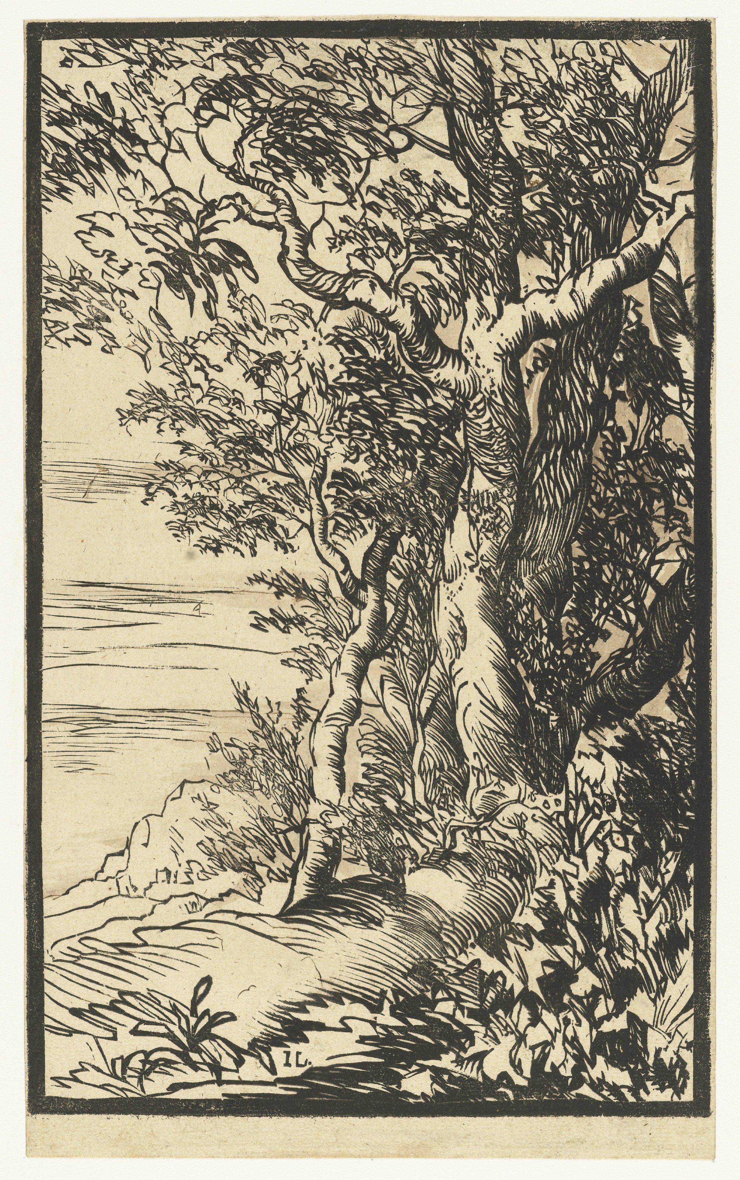 Landschap met een groep bomen
