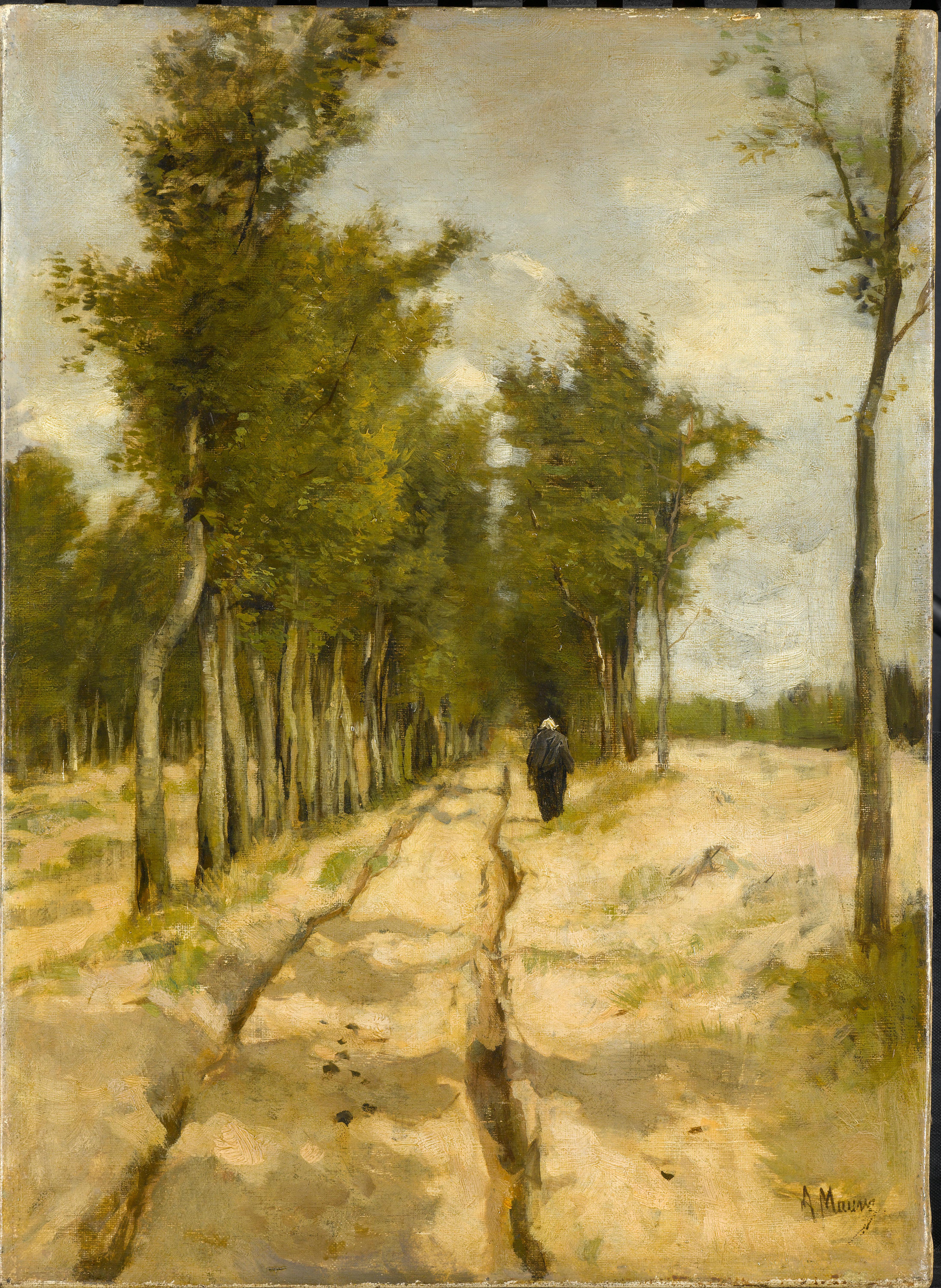 De Torenlaan te Laren