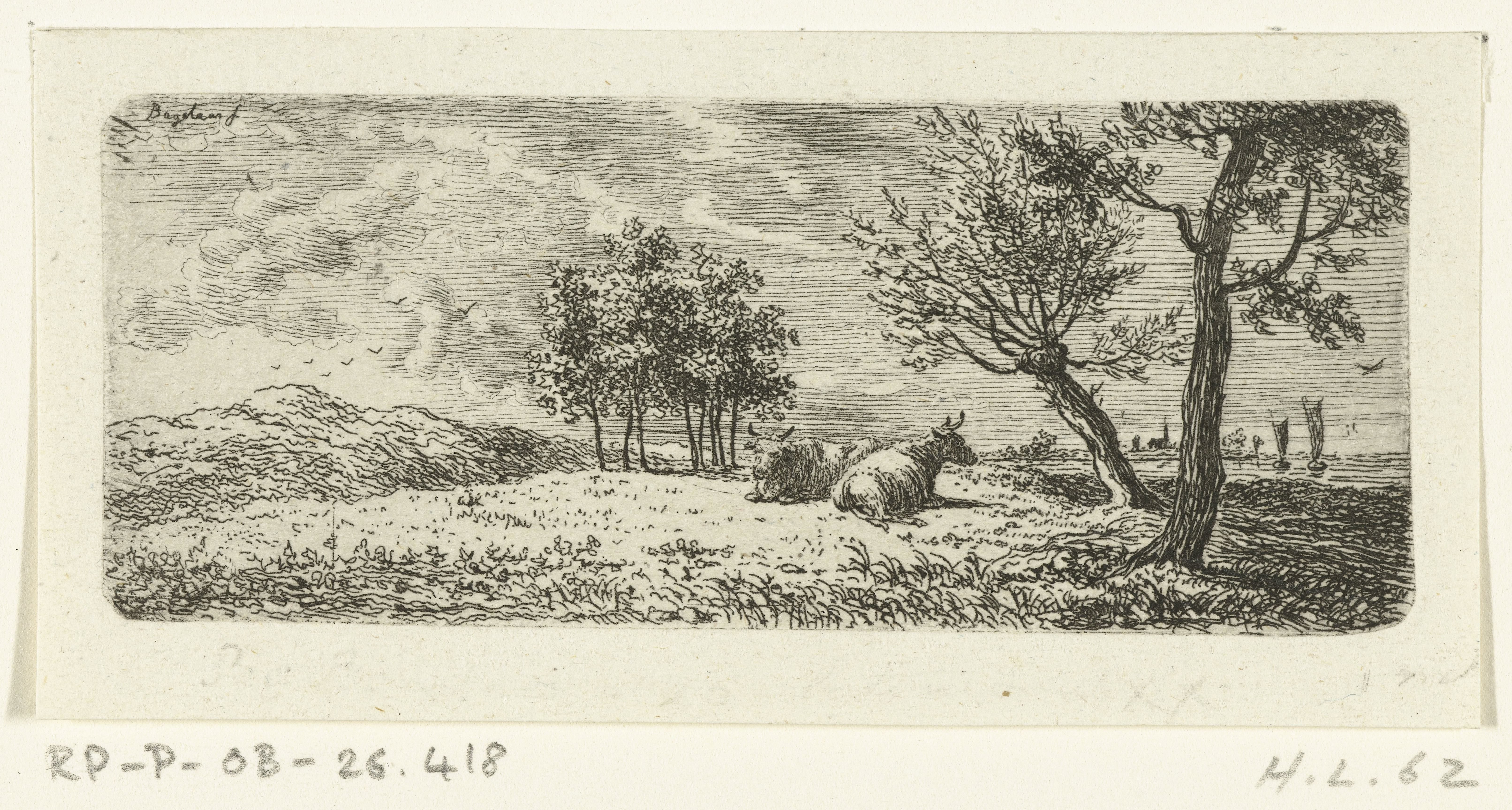 Landschap met twee liggende koeien