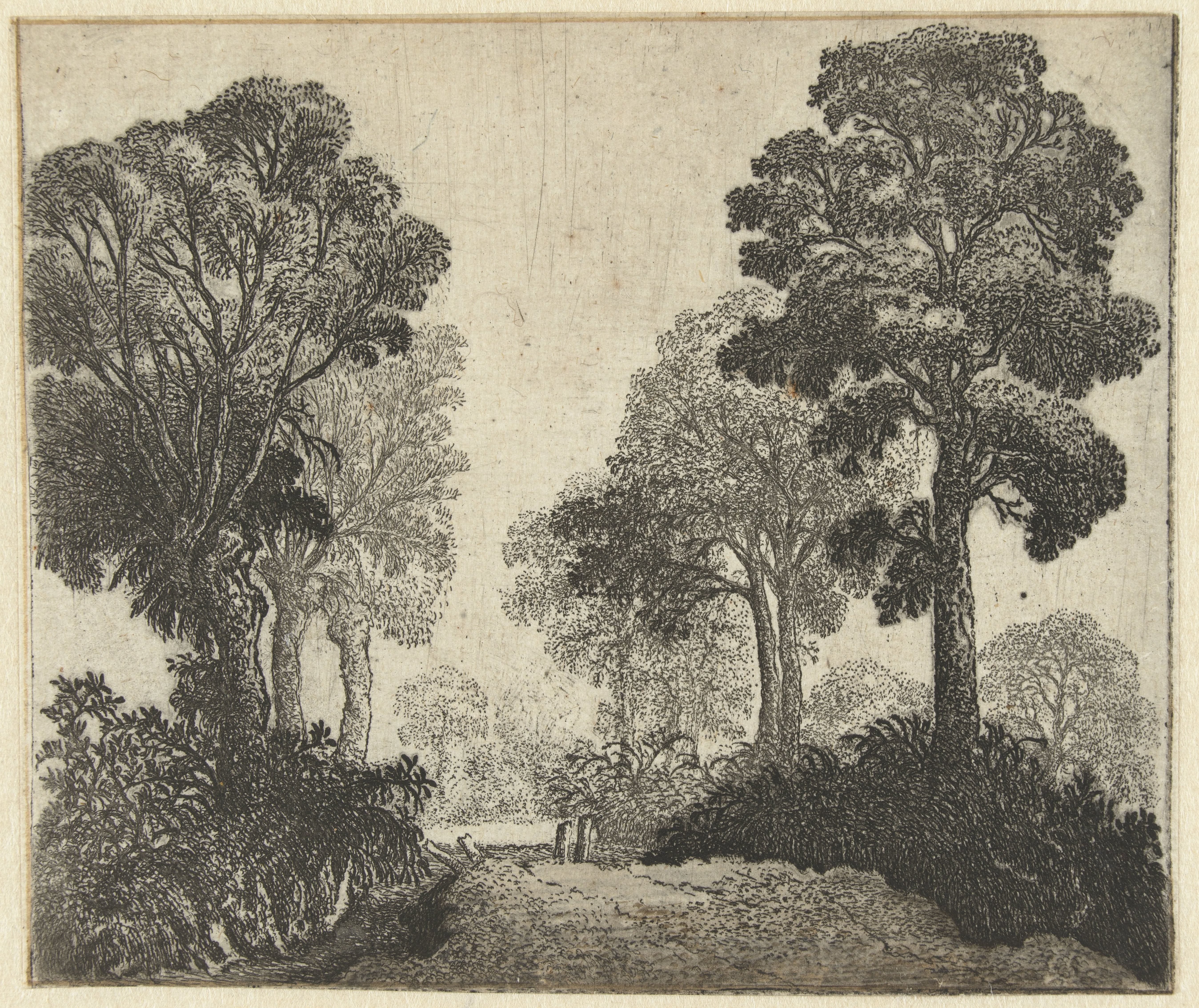 Landschap met bomen langs een pad