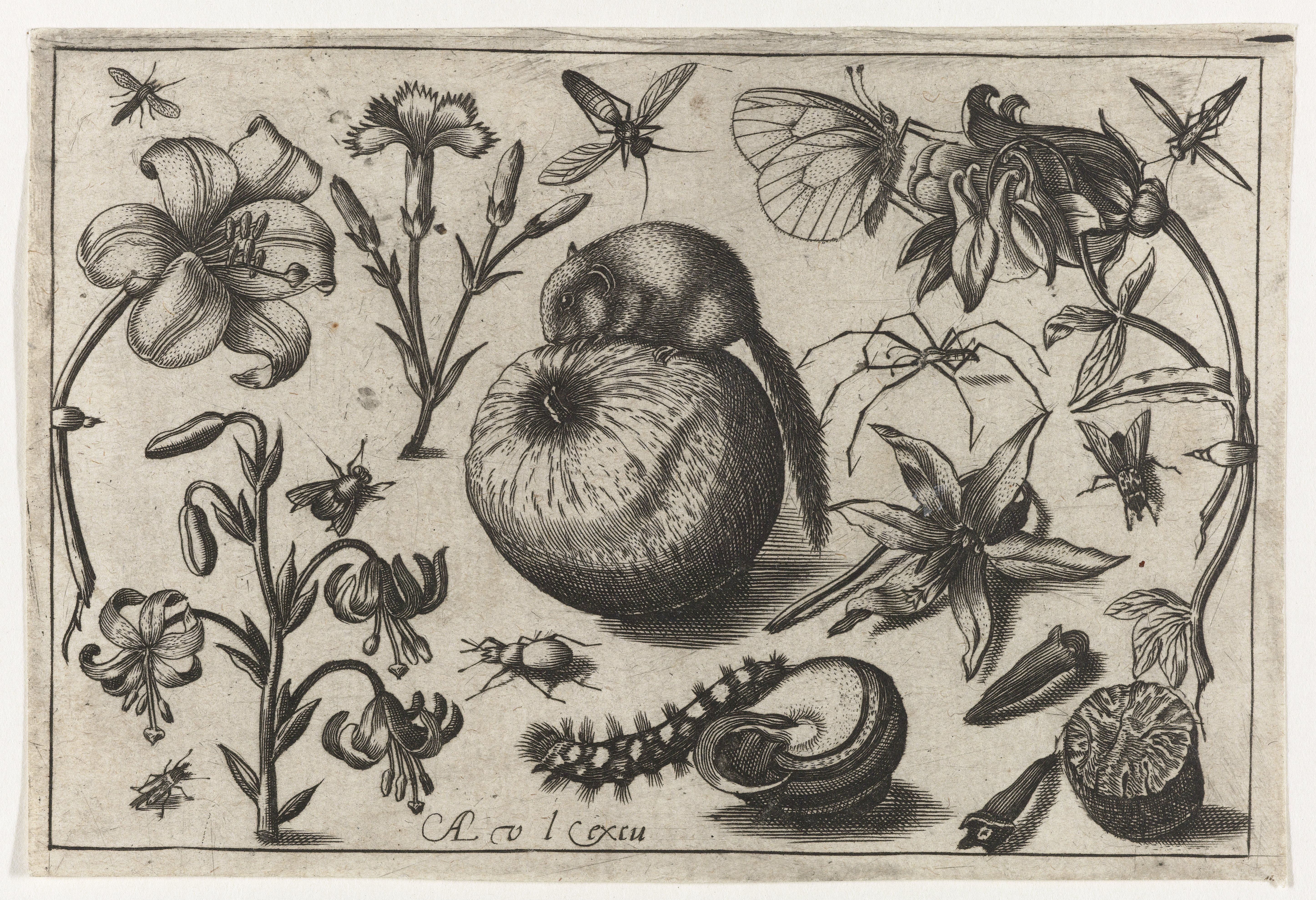 Bloemen en een muis op een appel