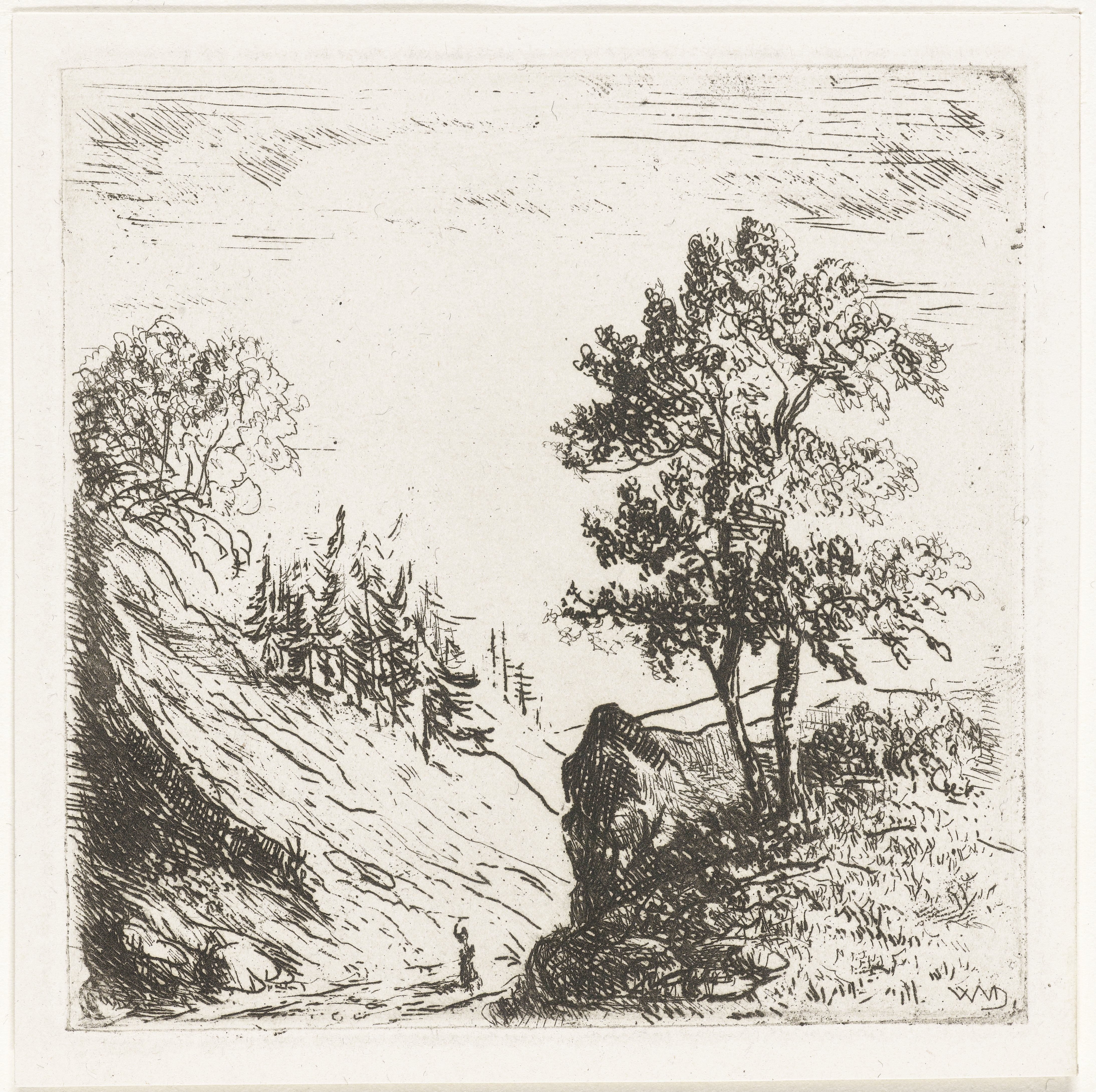 Heuvellandschap met twee bomen op rots