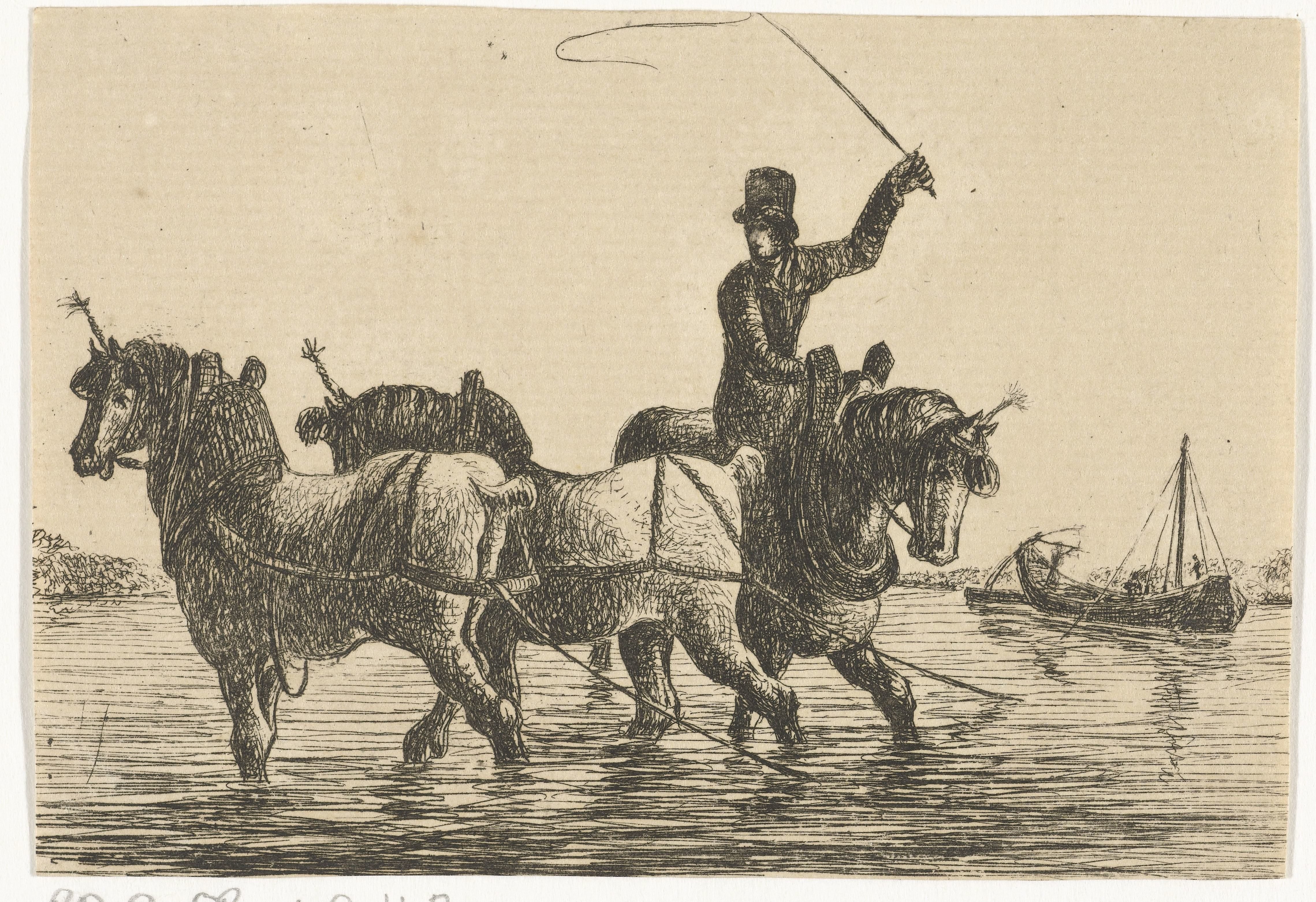 Drie trekpaarden in het water