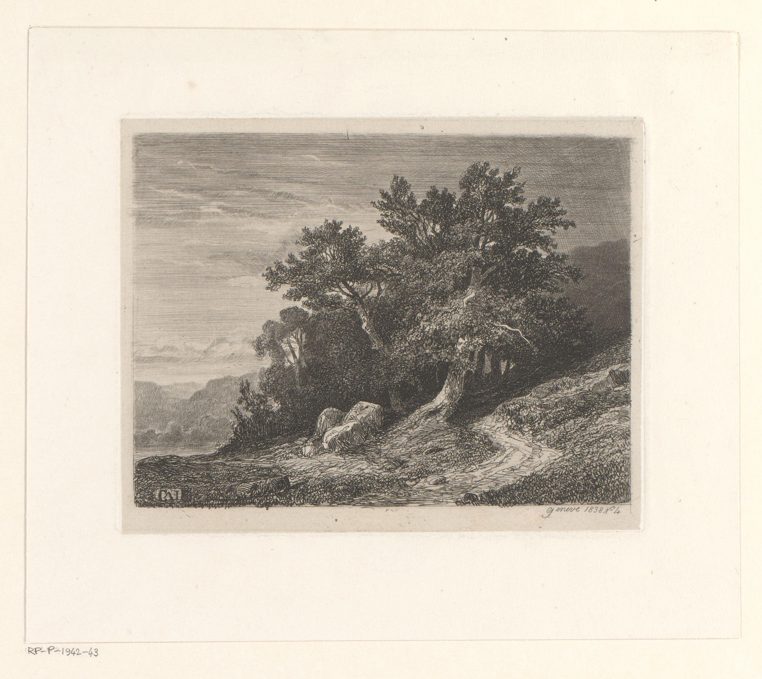 Berglandschap met bomen aan een meer