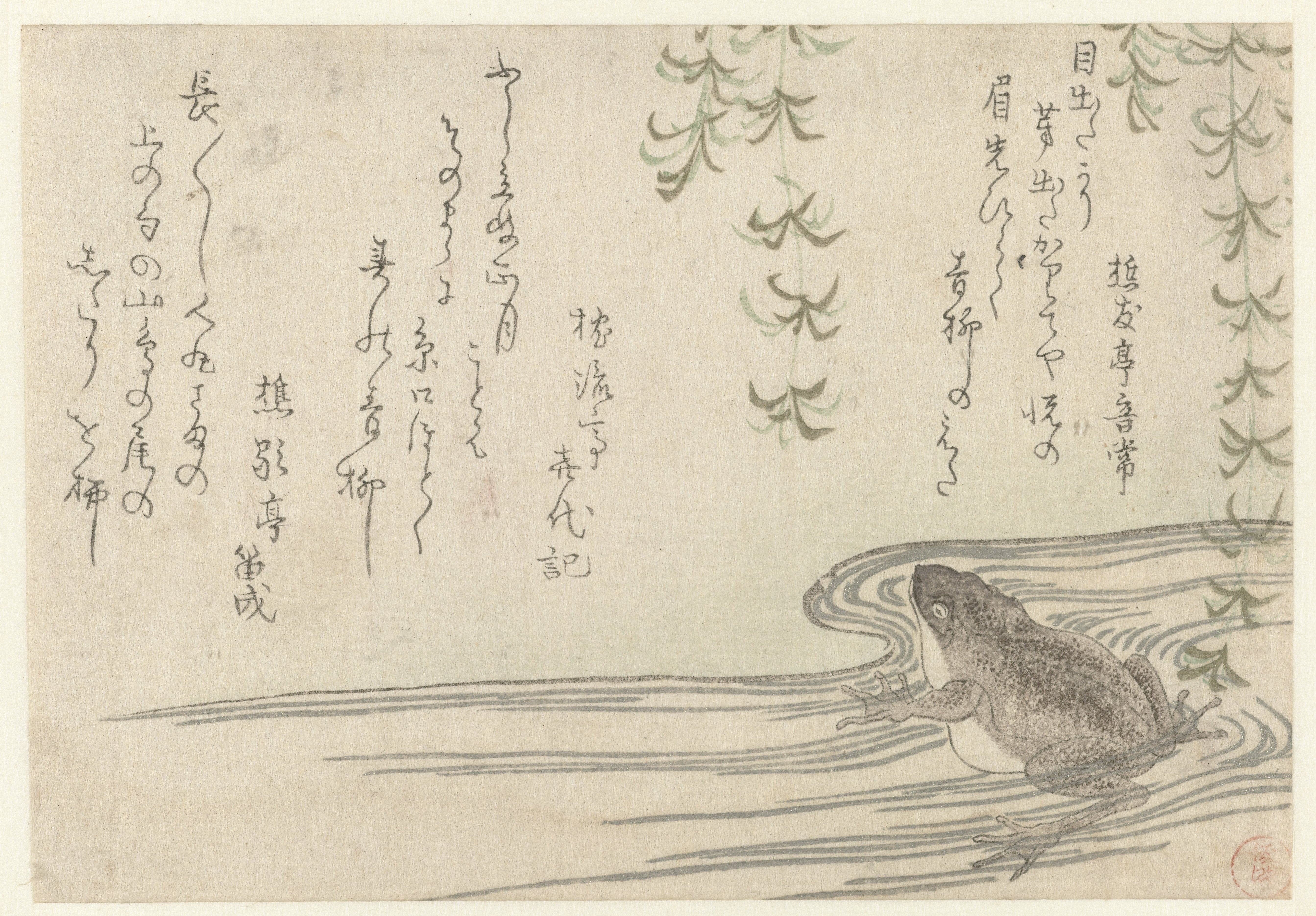 Frog under a Willow Tree