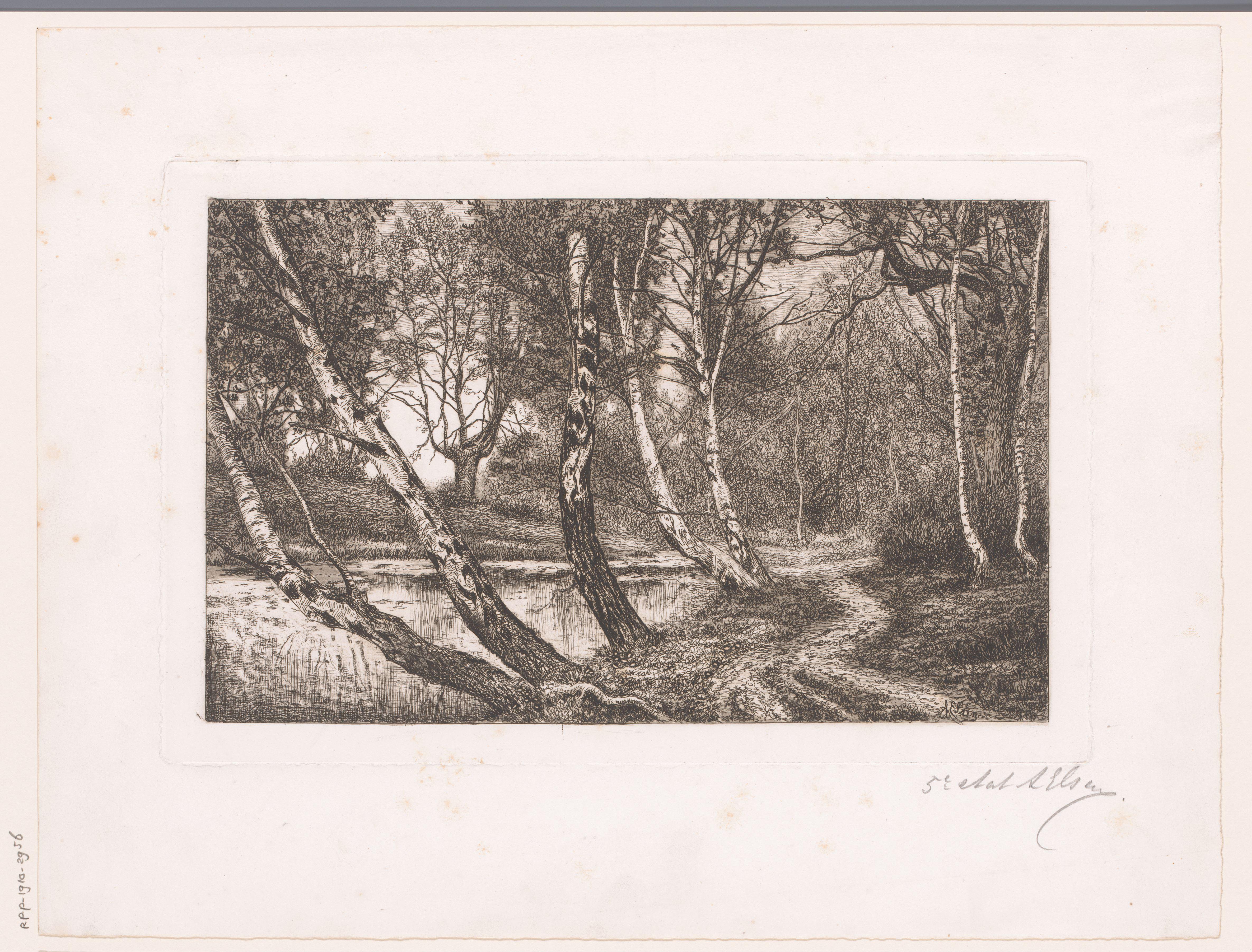 Landschap met berken langs een oever
