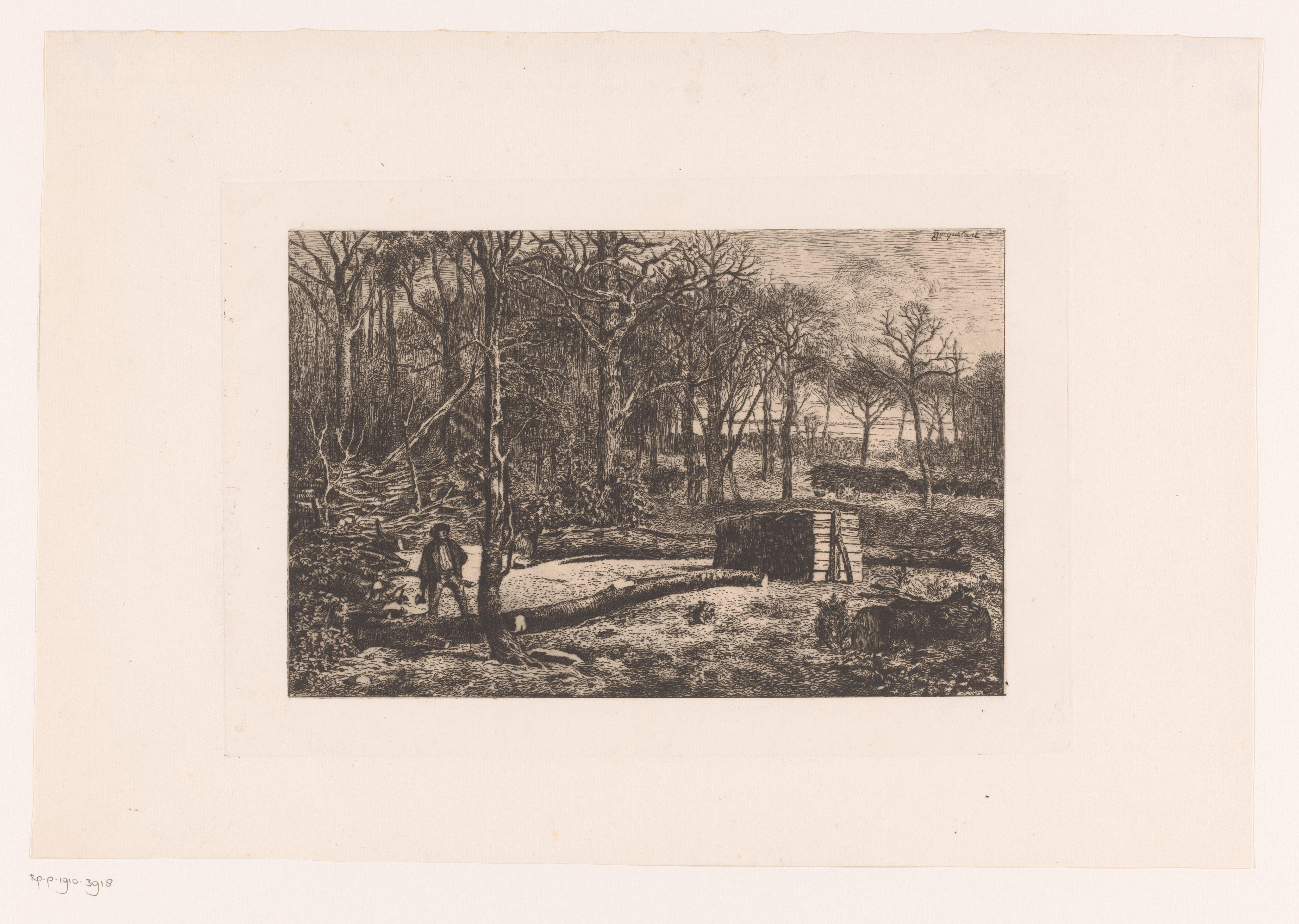 Houthakker aan het werk in het bos