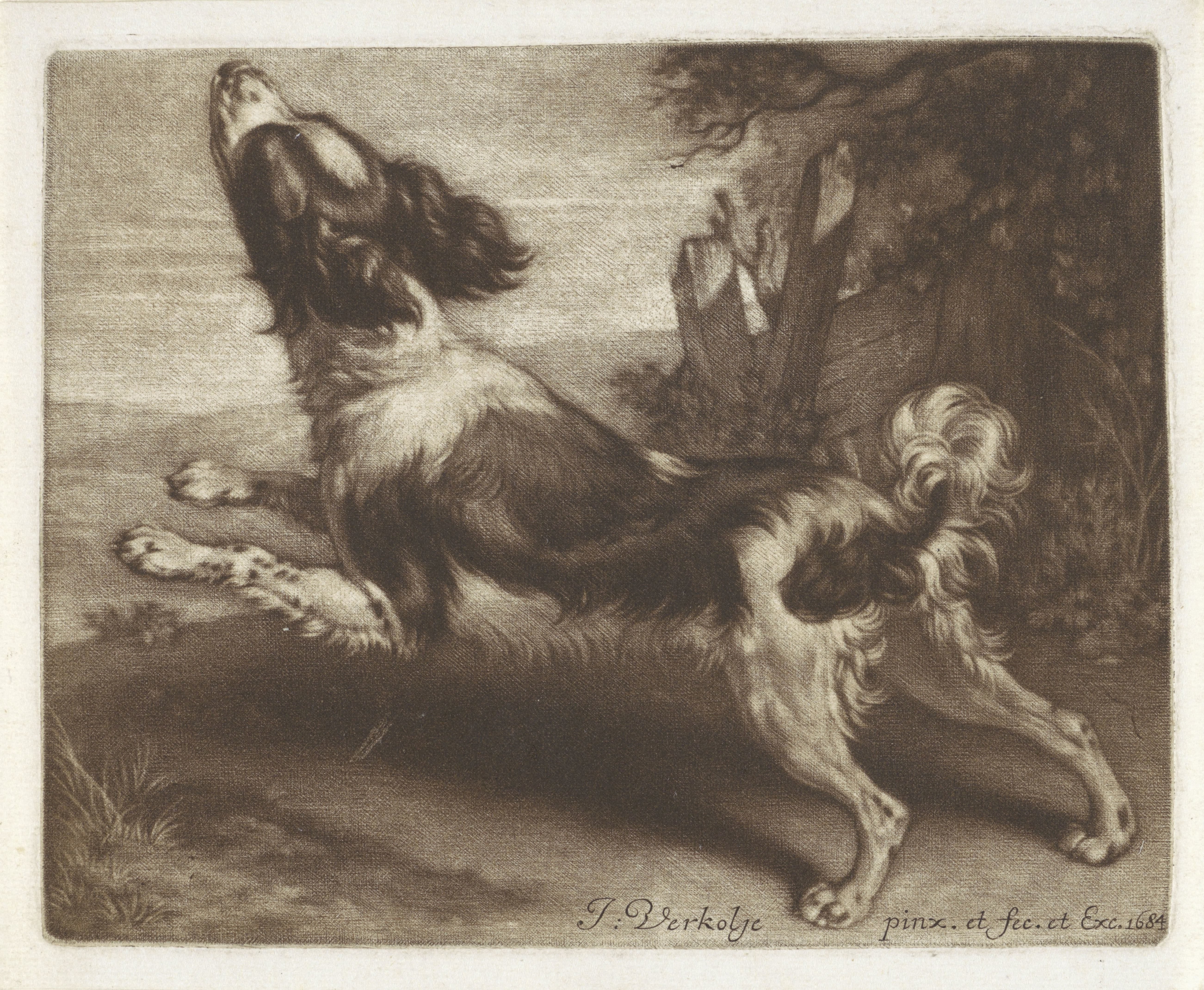Rennende hond, mogelijk een spaniël