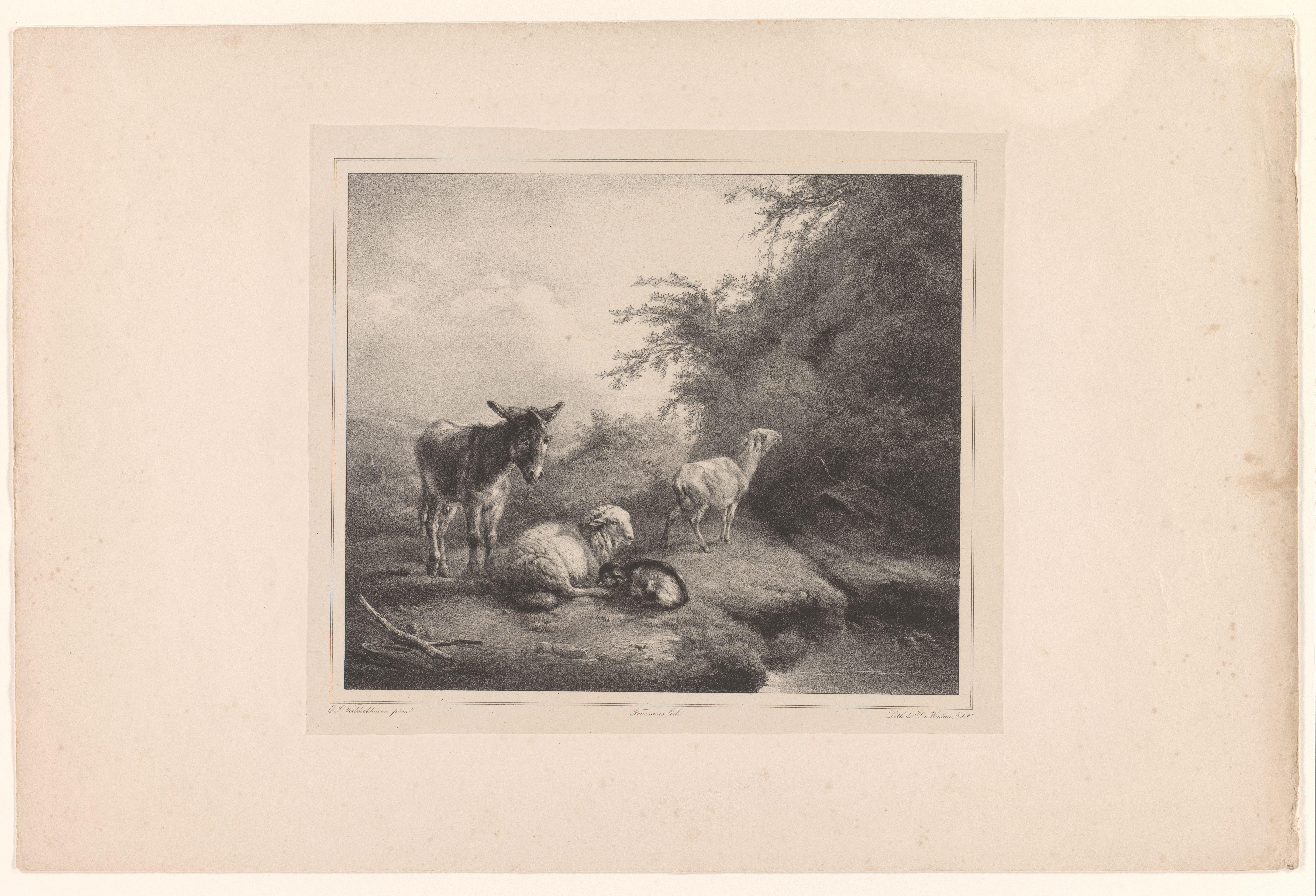 Landschap met ezel en schapen