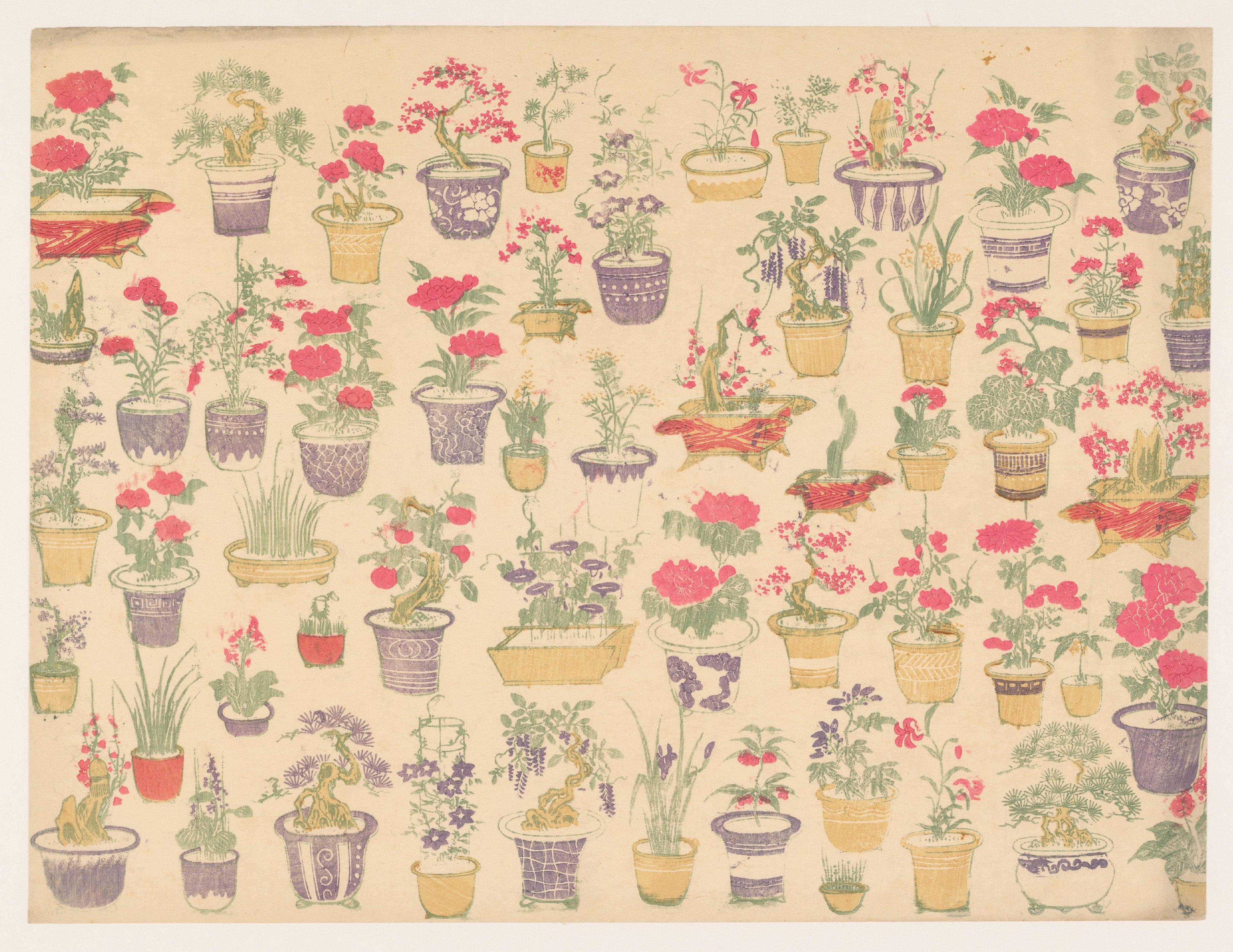 Patroon van potten met verschillende planten