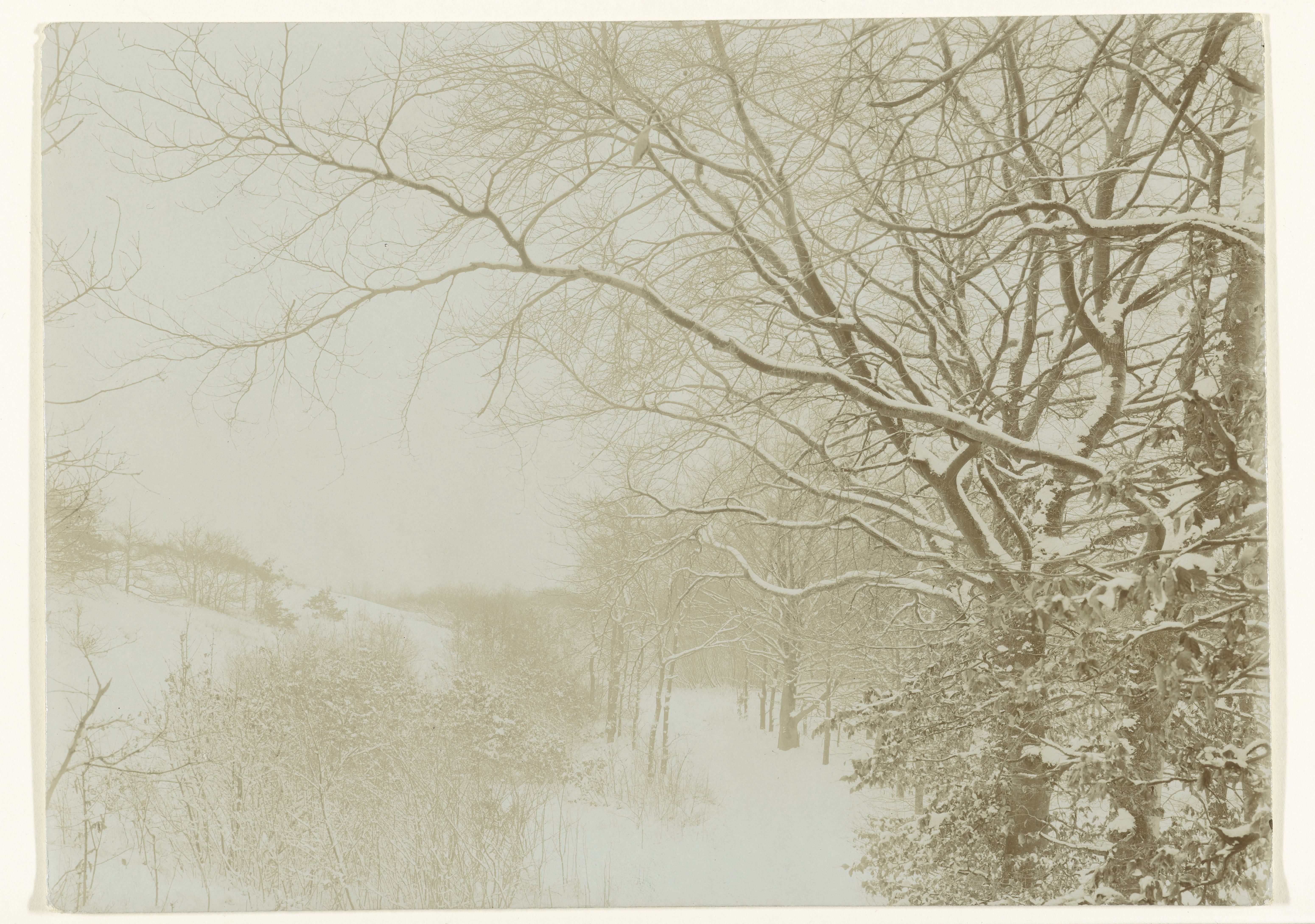 Besneeuwde Jachtduinen bij Bloemdaal