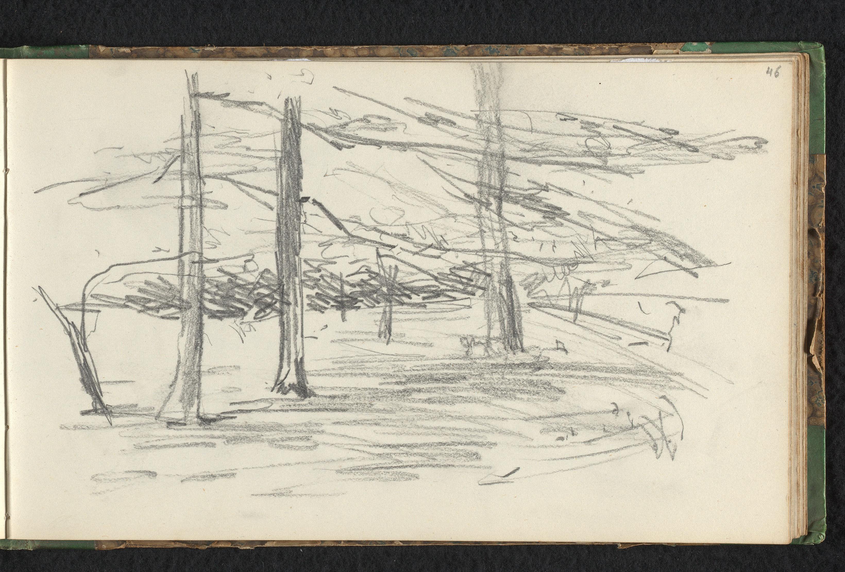 Landschap met bomen