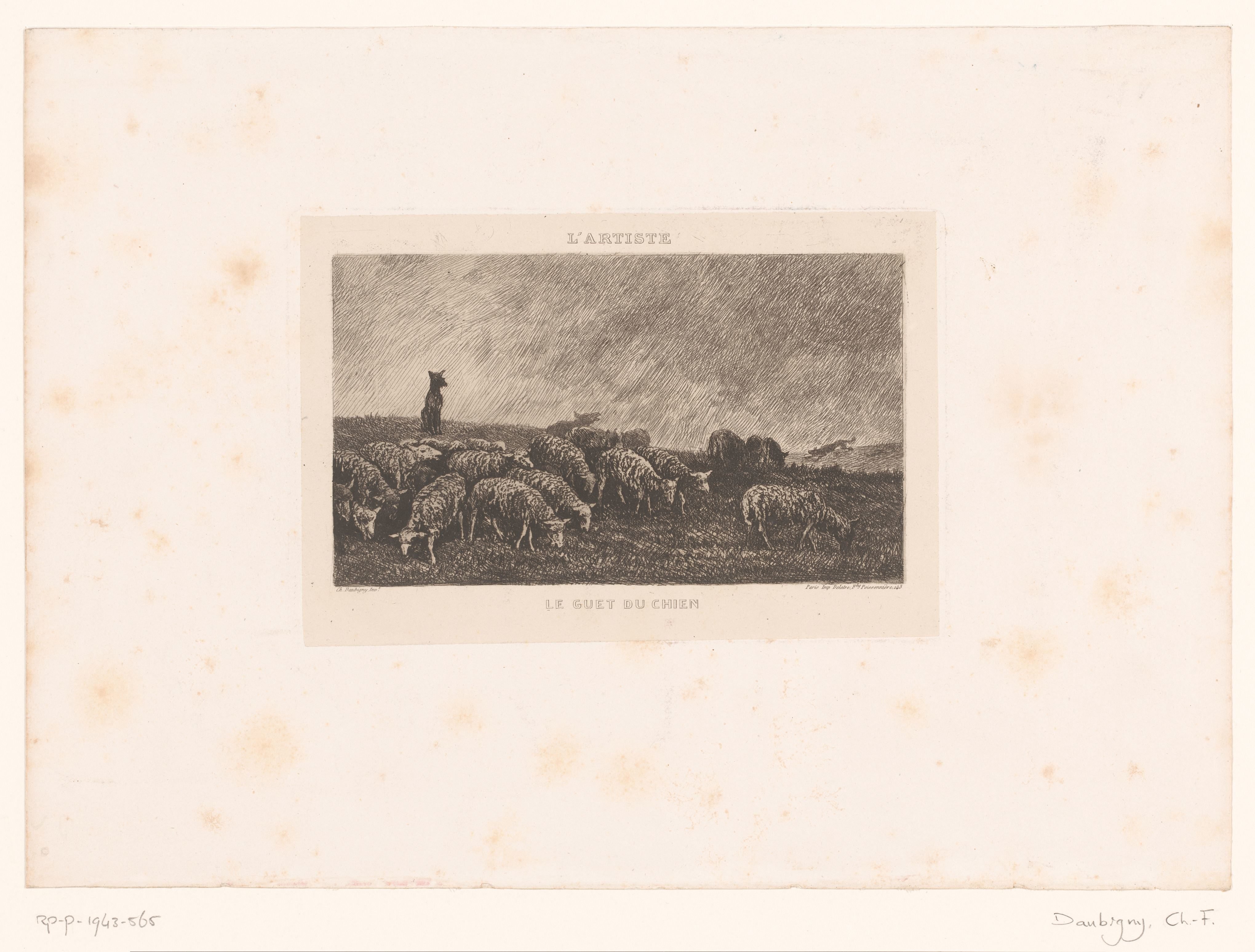 Landschap met kudde schapen bewaakt door herdershonden