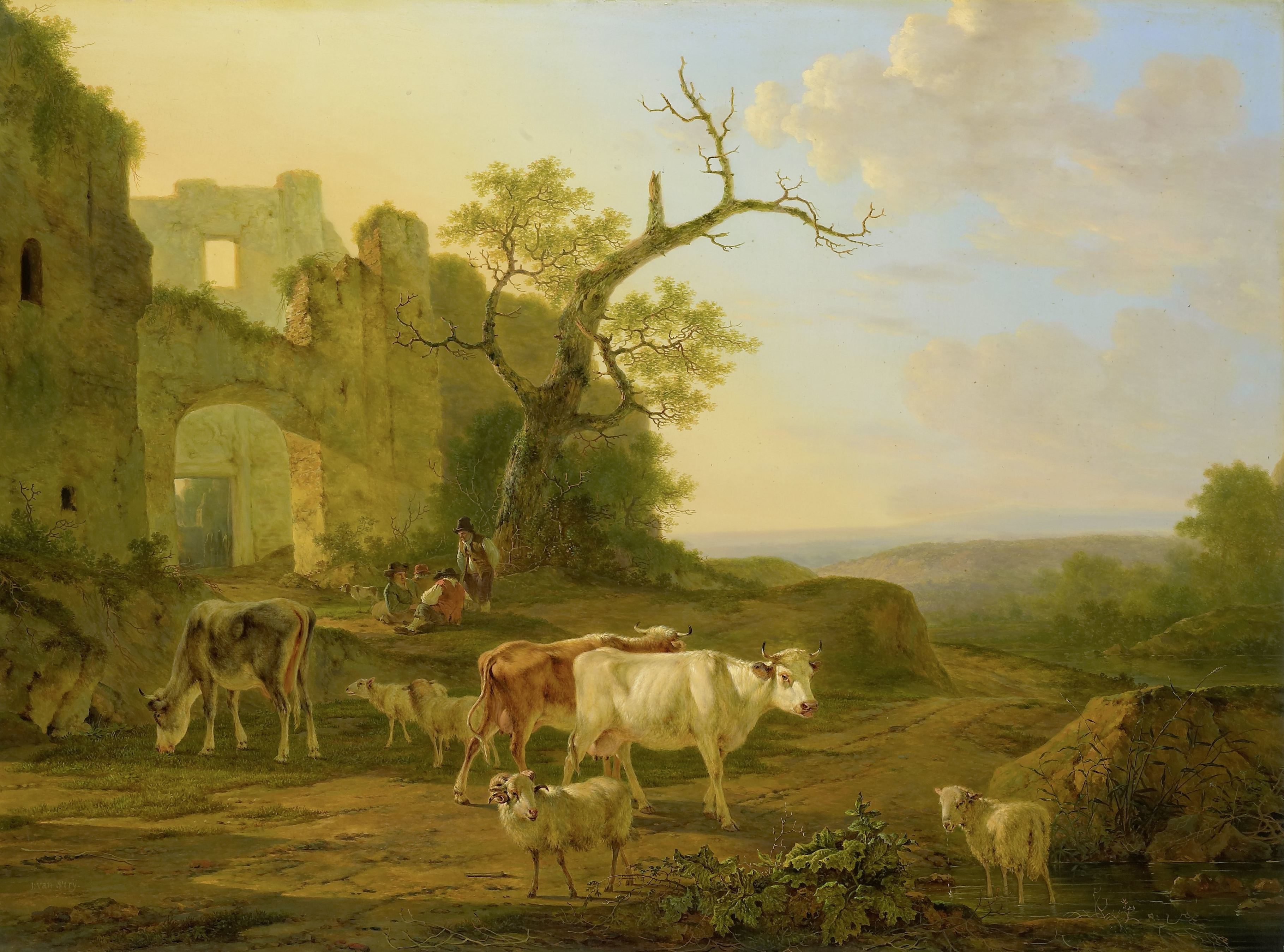 Schapen op de heide