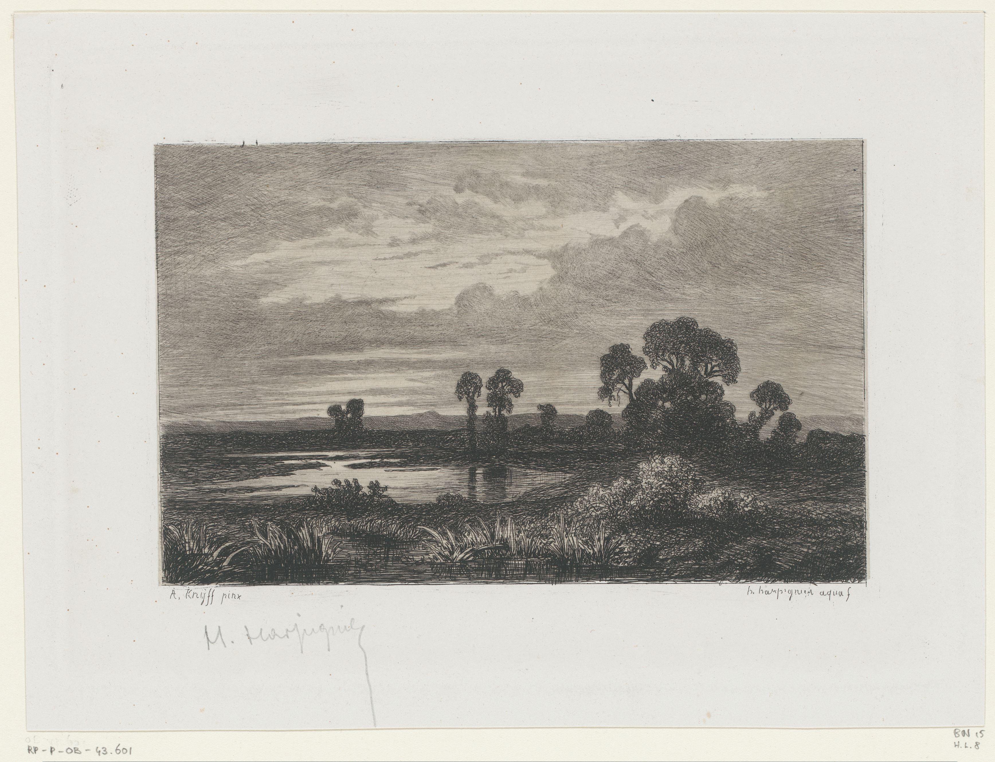Landschap met bomen bij een plas