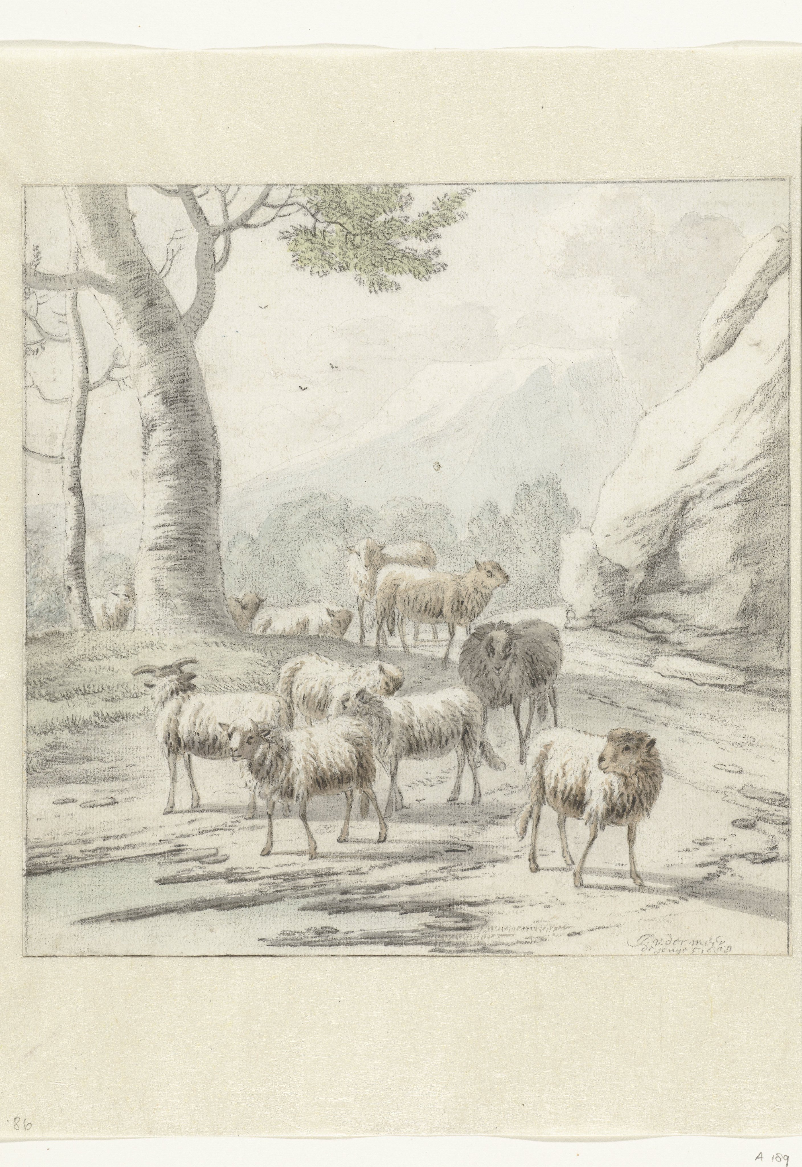 Landscape with a Flock of Sheep near a Tree
