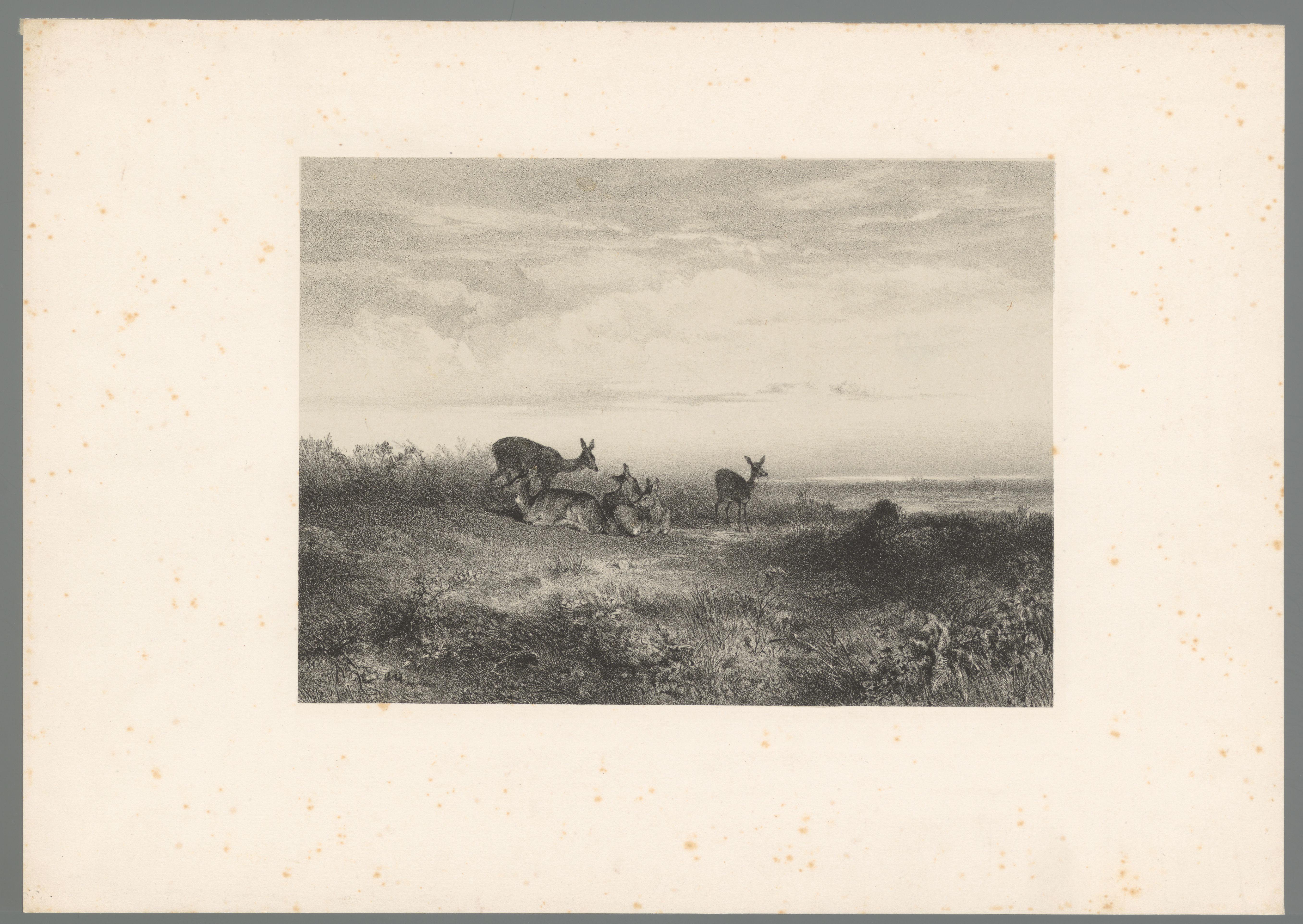 Herten in een landschap