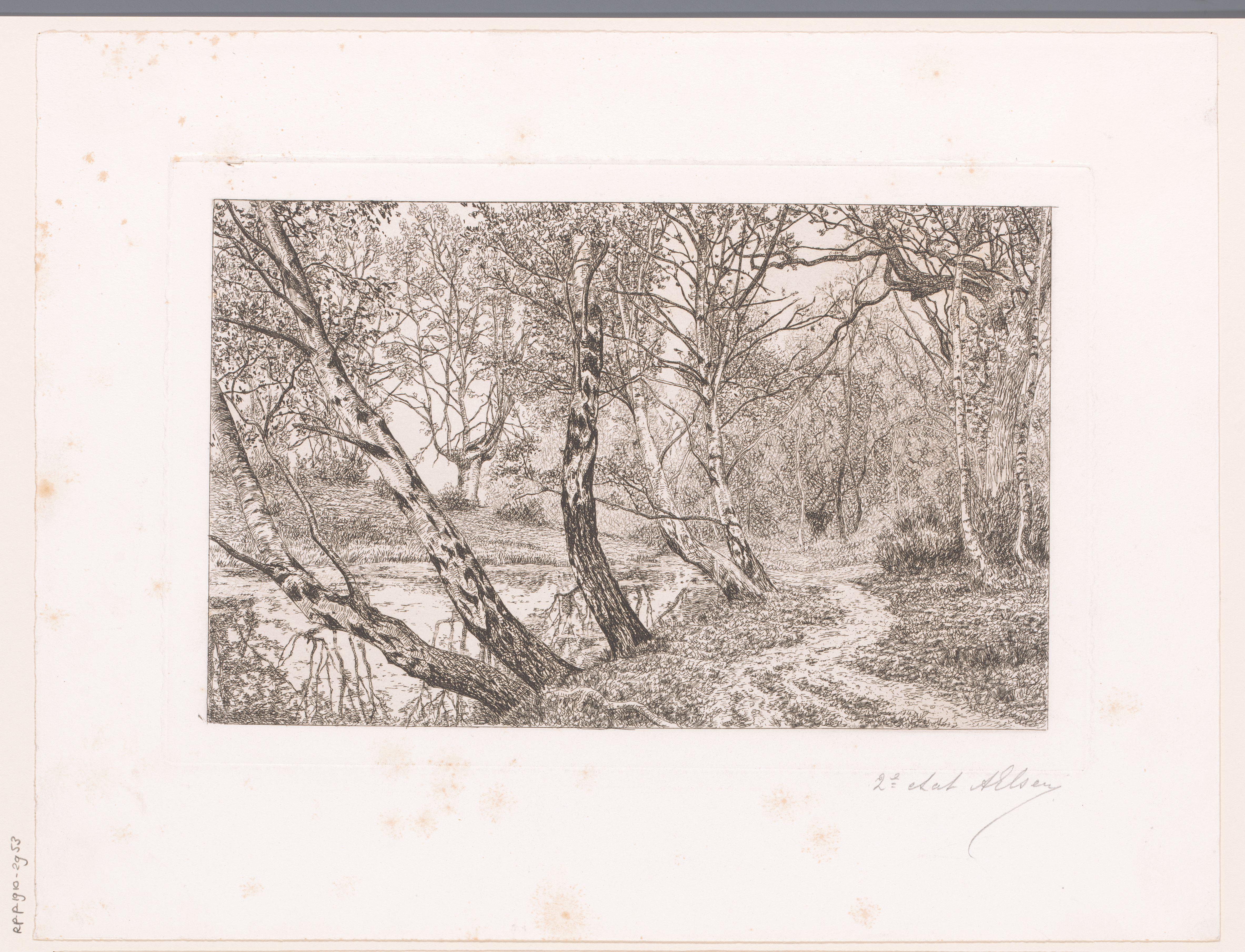 Landschap met berken langs een oever