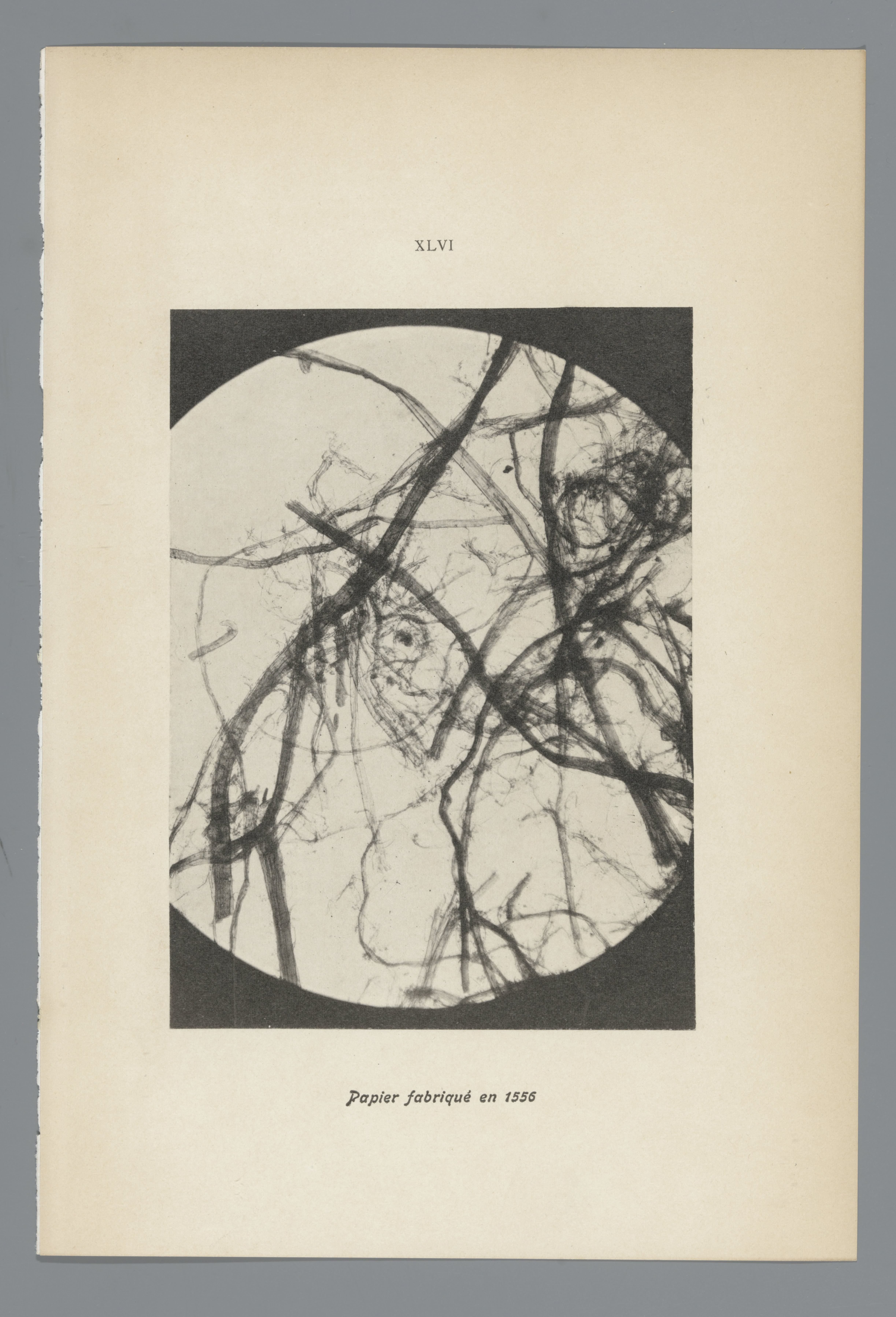 XLVI Papier fabriqué en 1556
