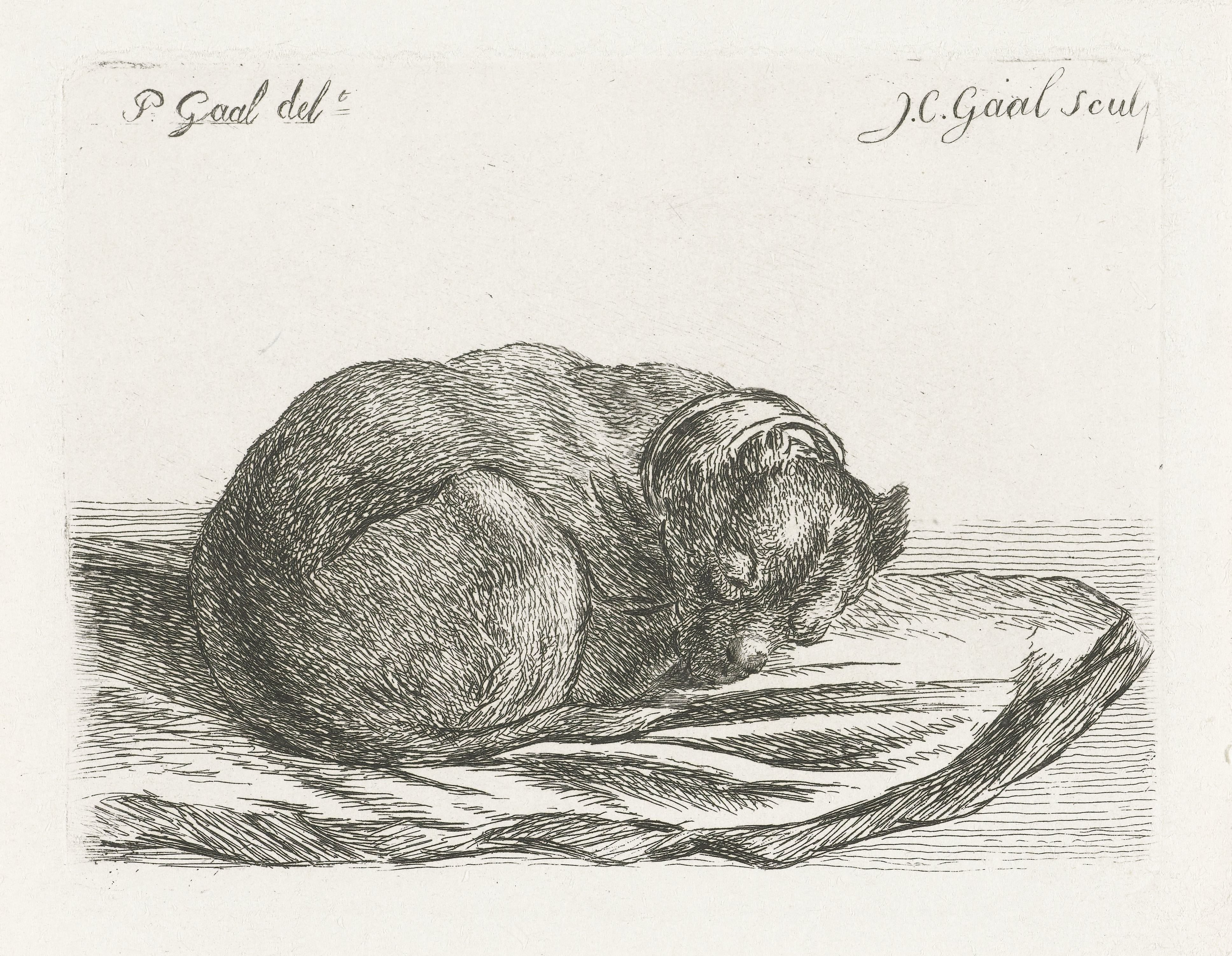 Slapende hond, liggend op een deken