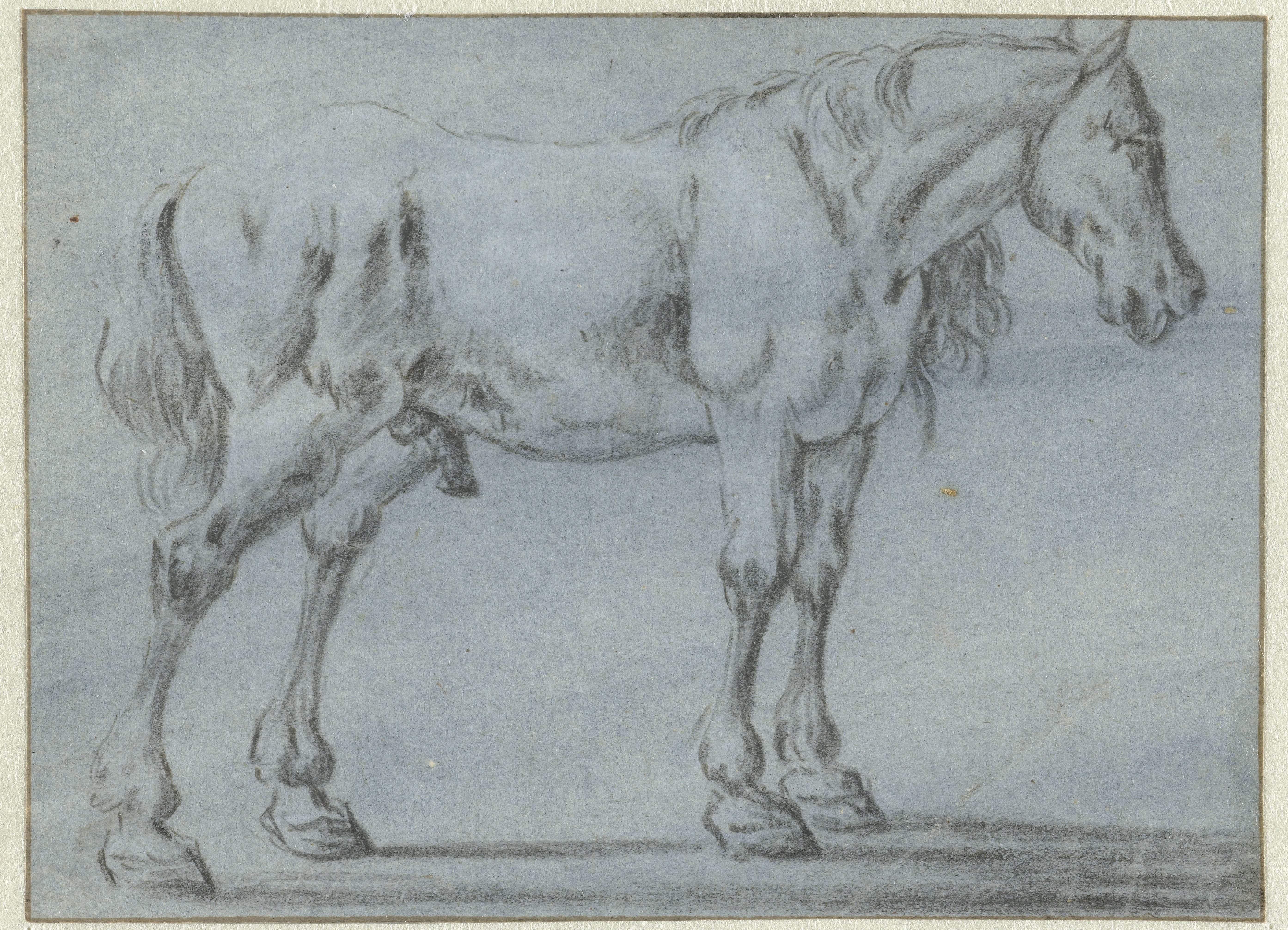 Staand paard, naar rechts