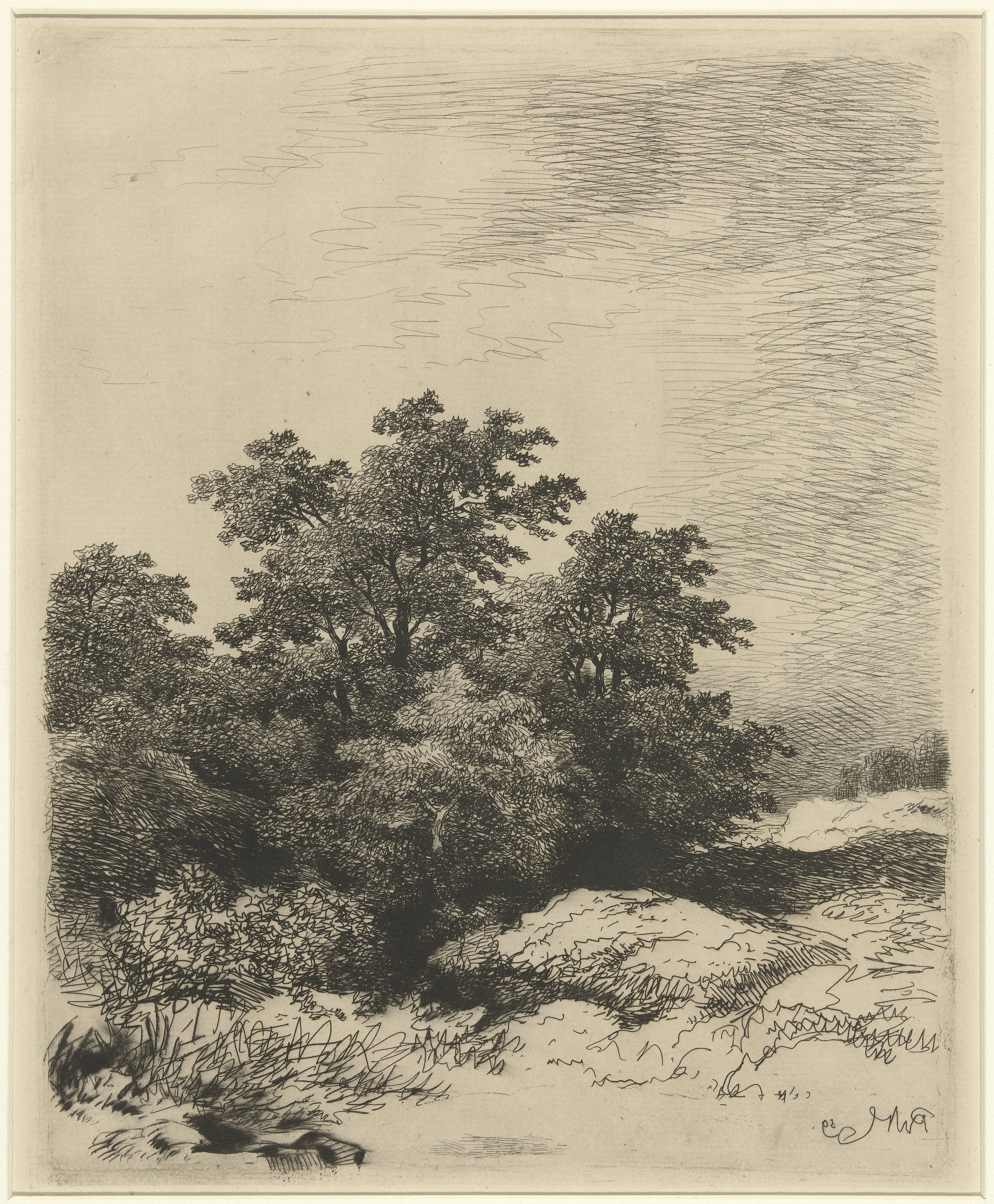 Landschap met bomen
