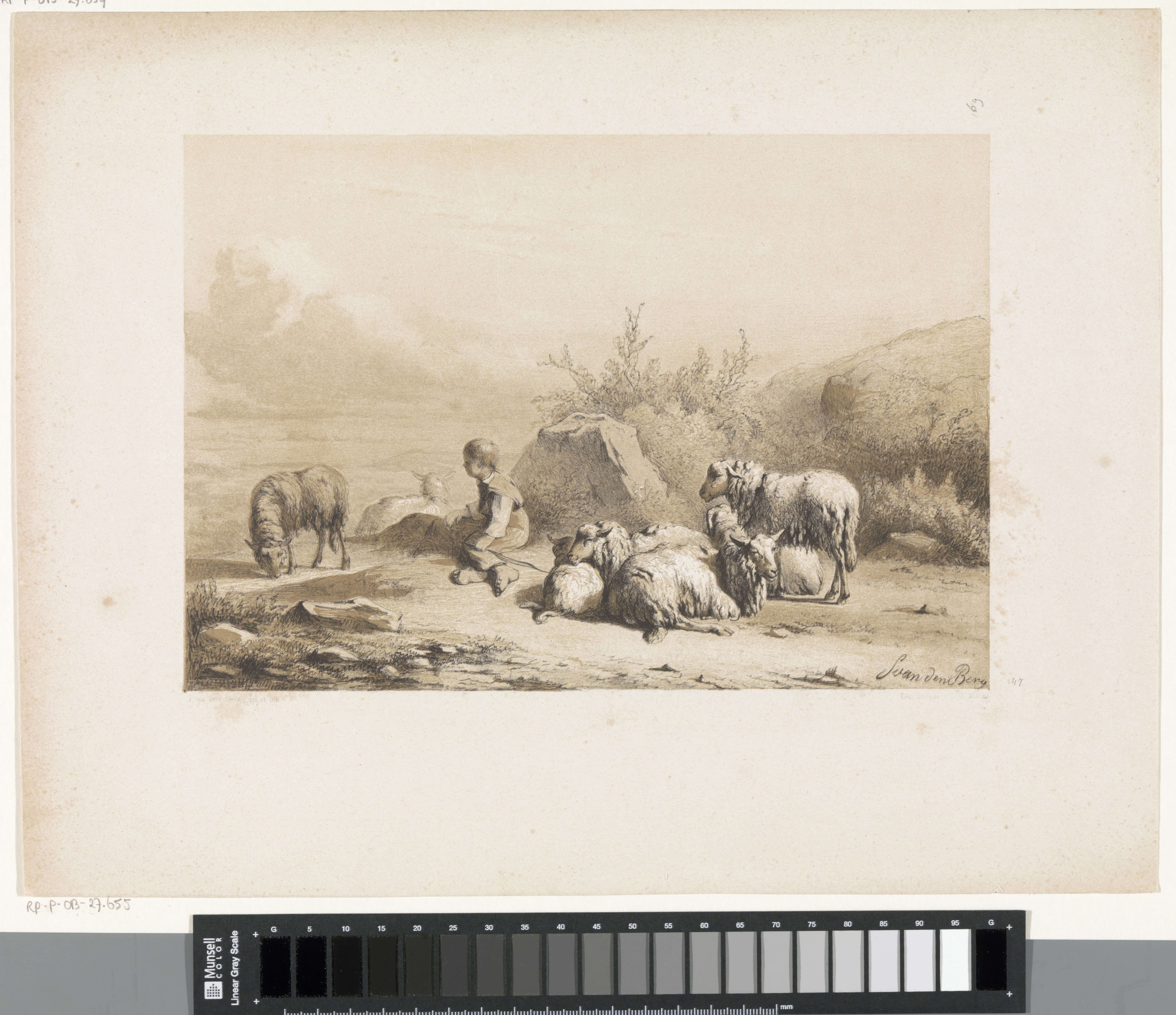 Herder en schapen