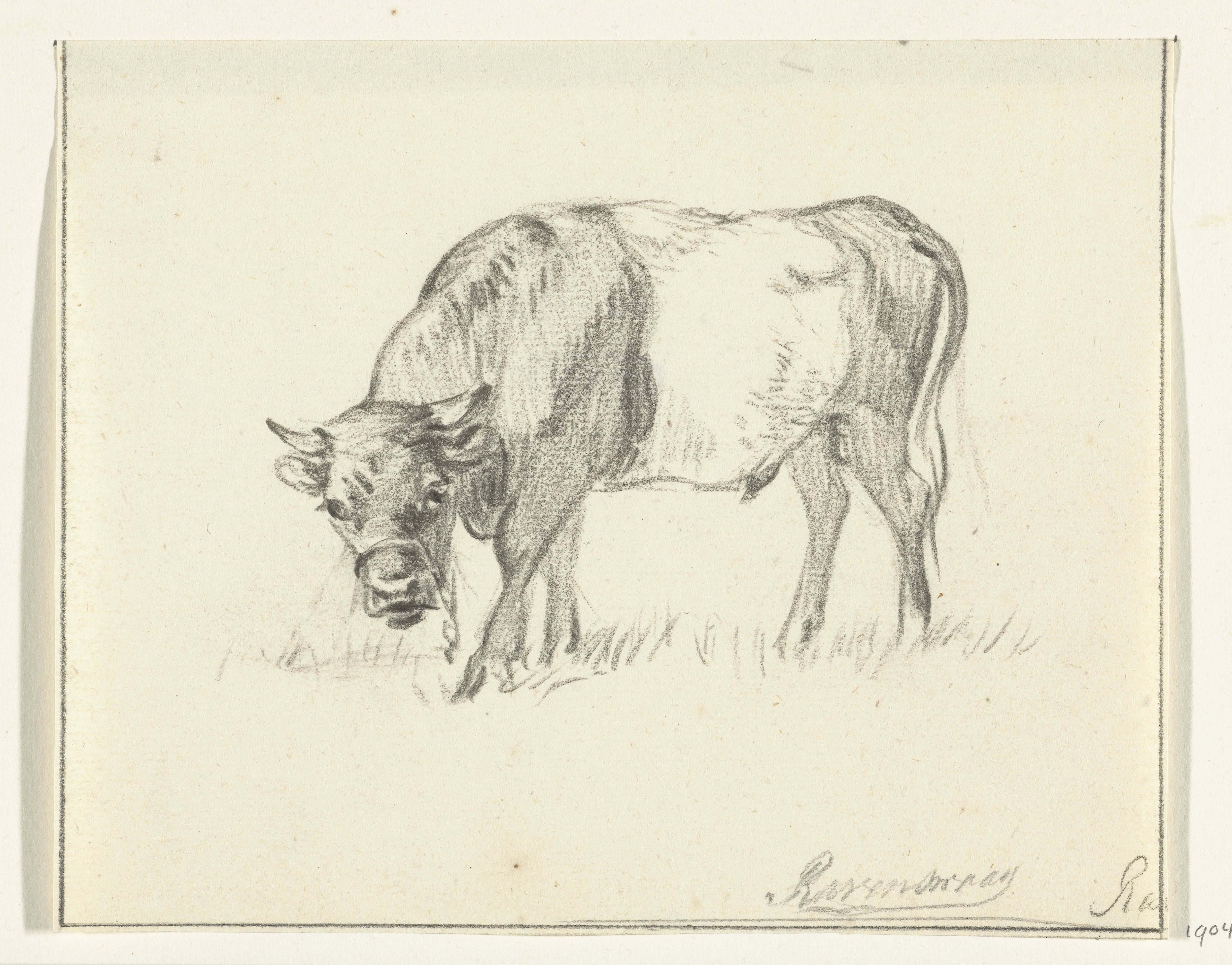 Grazende stier, naar links