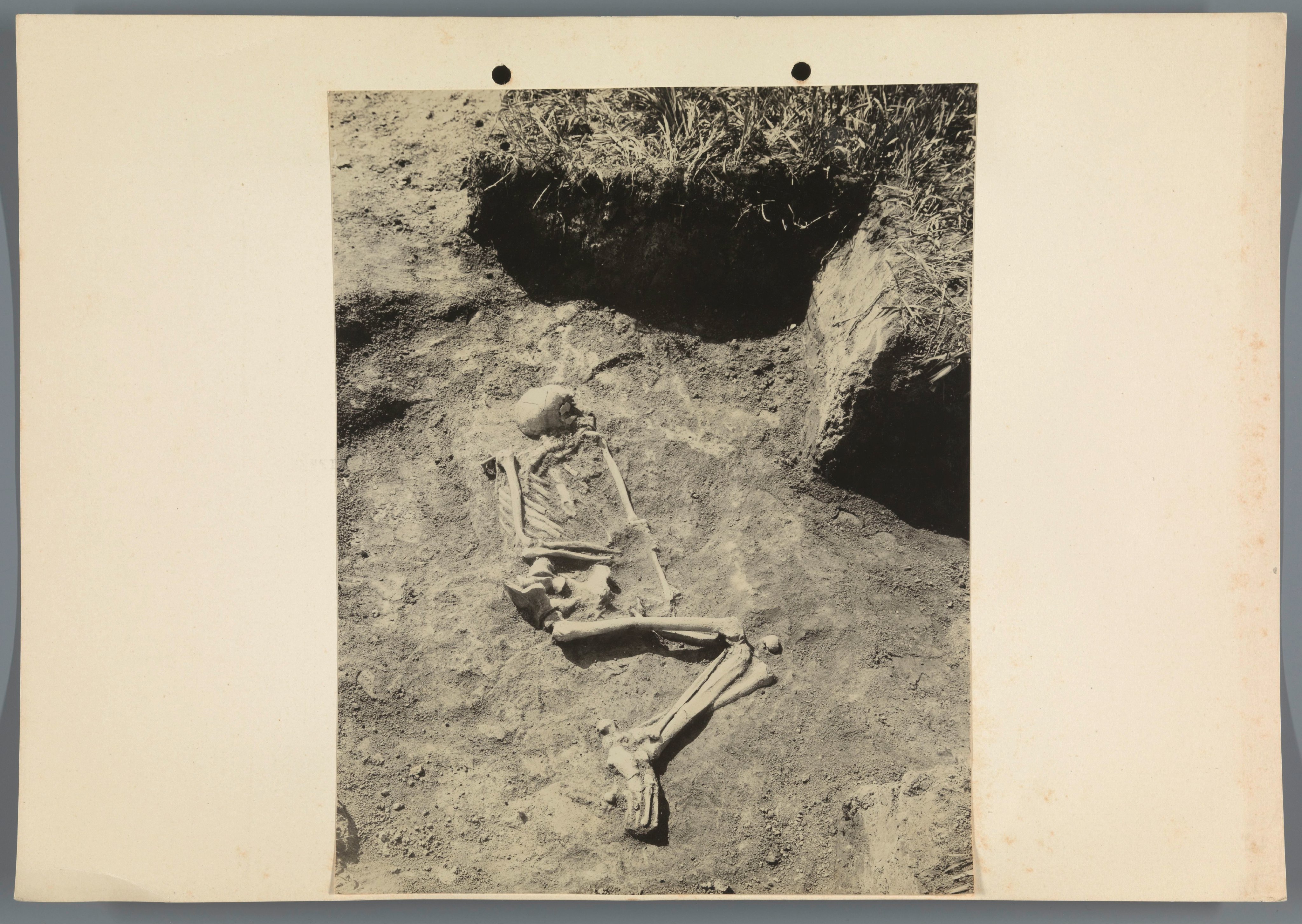 Skelet, gevonden bij archeologische opgravingen te Hongarije
