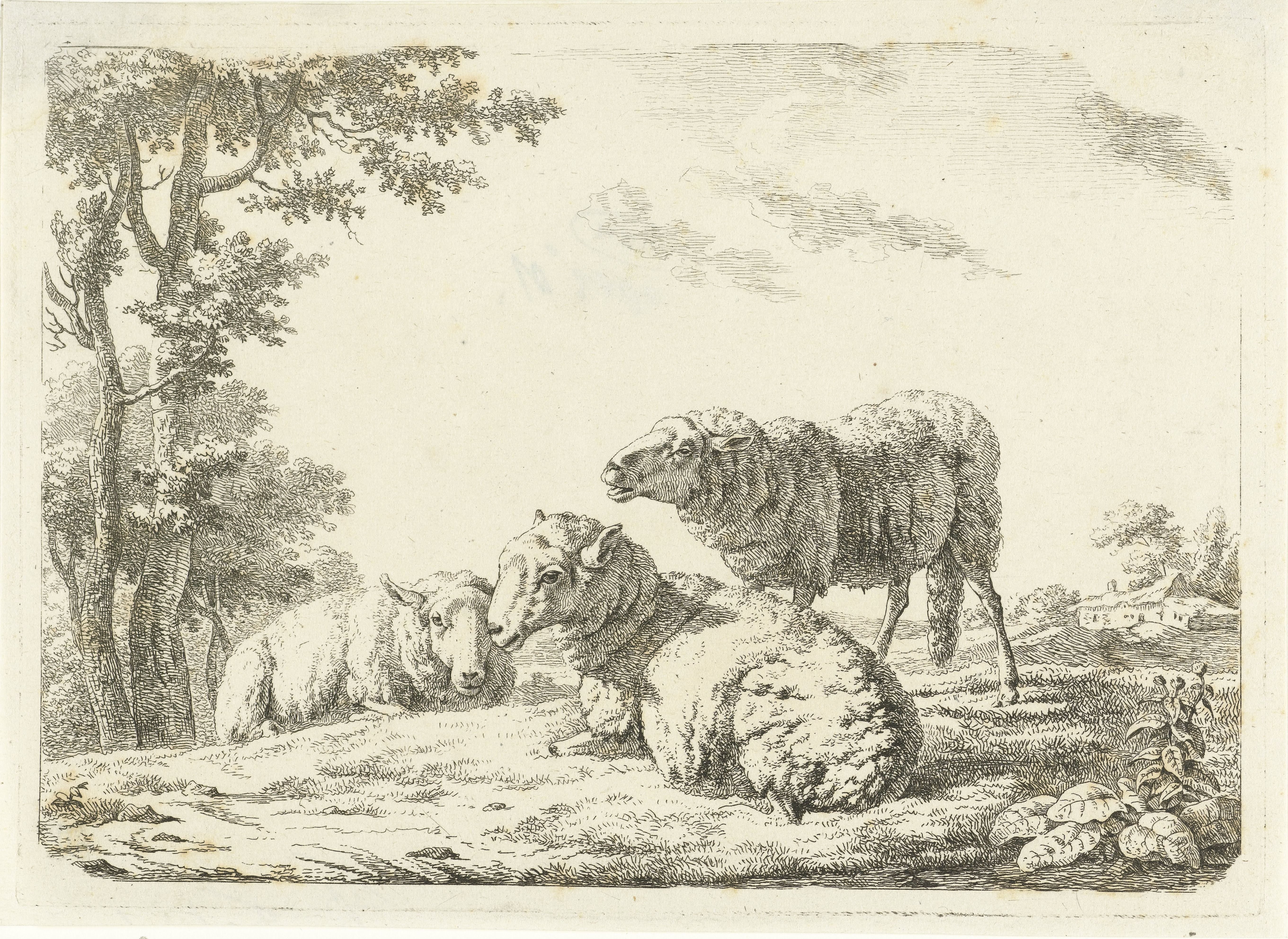 Landschap met twee liggende en een staand schaap