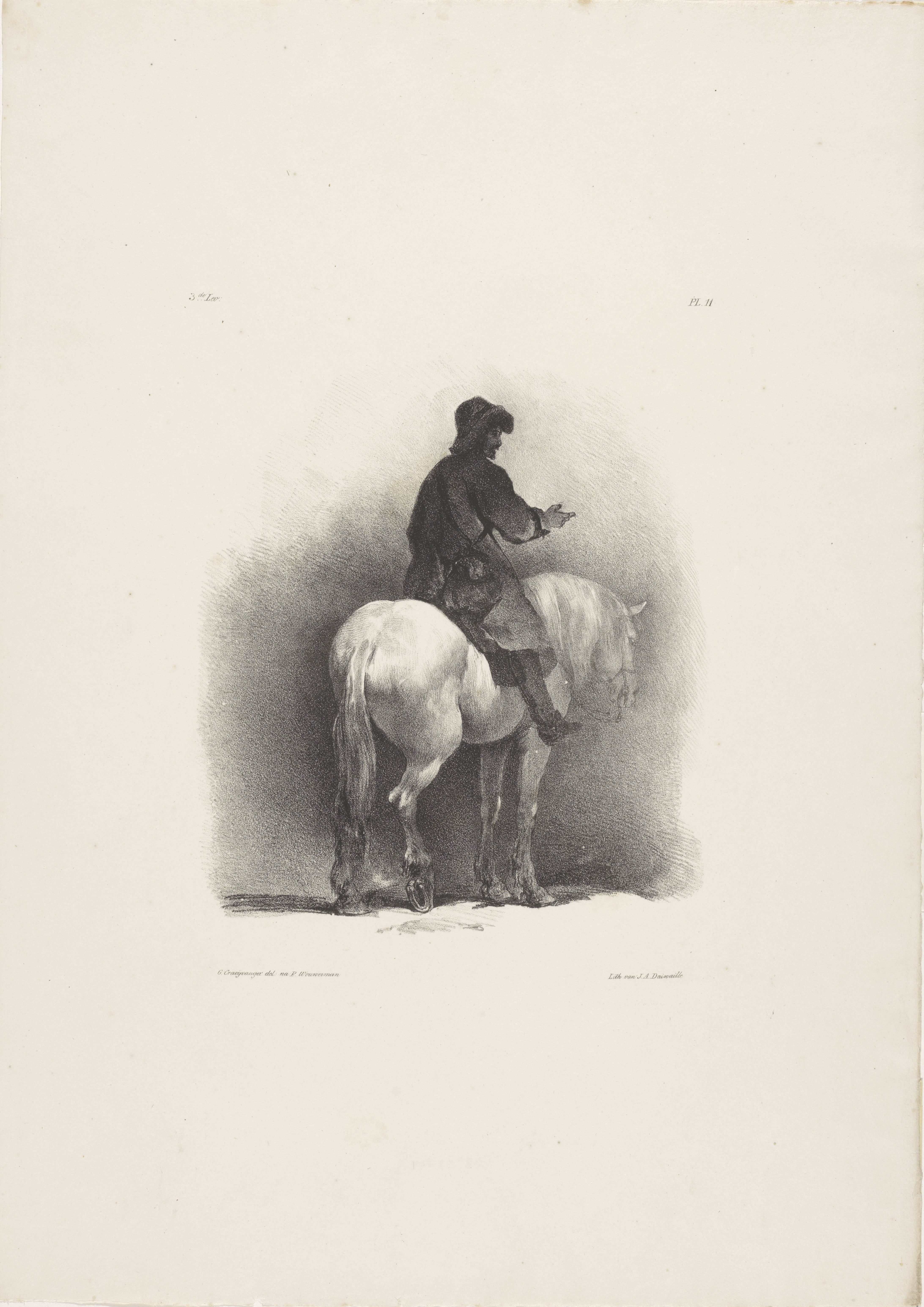 Paard en ruiter