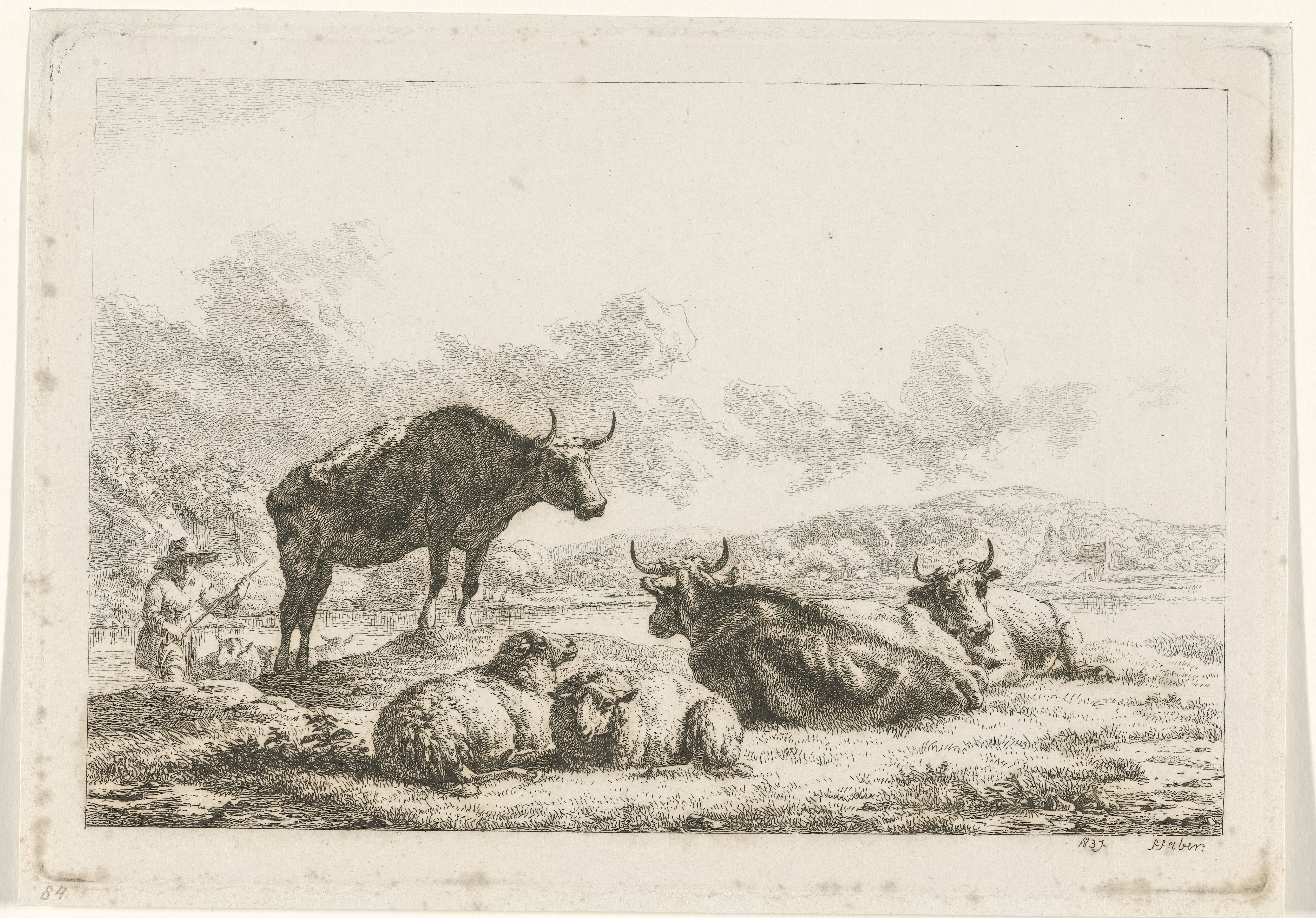 Landschap met koeien en schapen