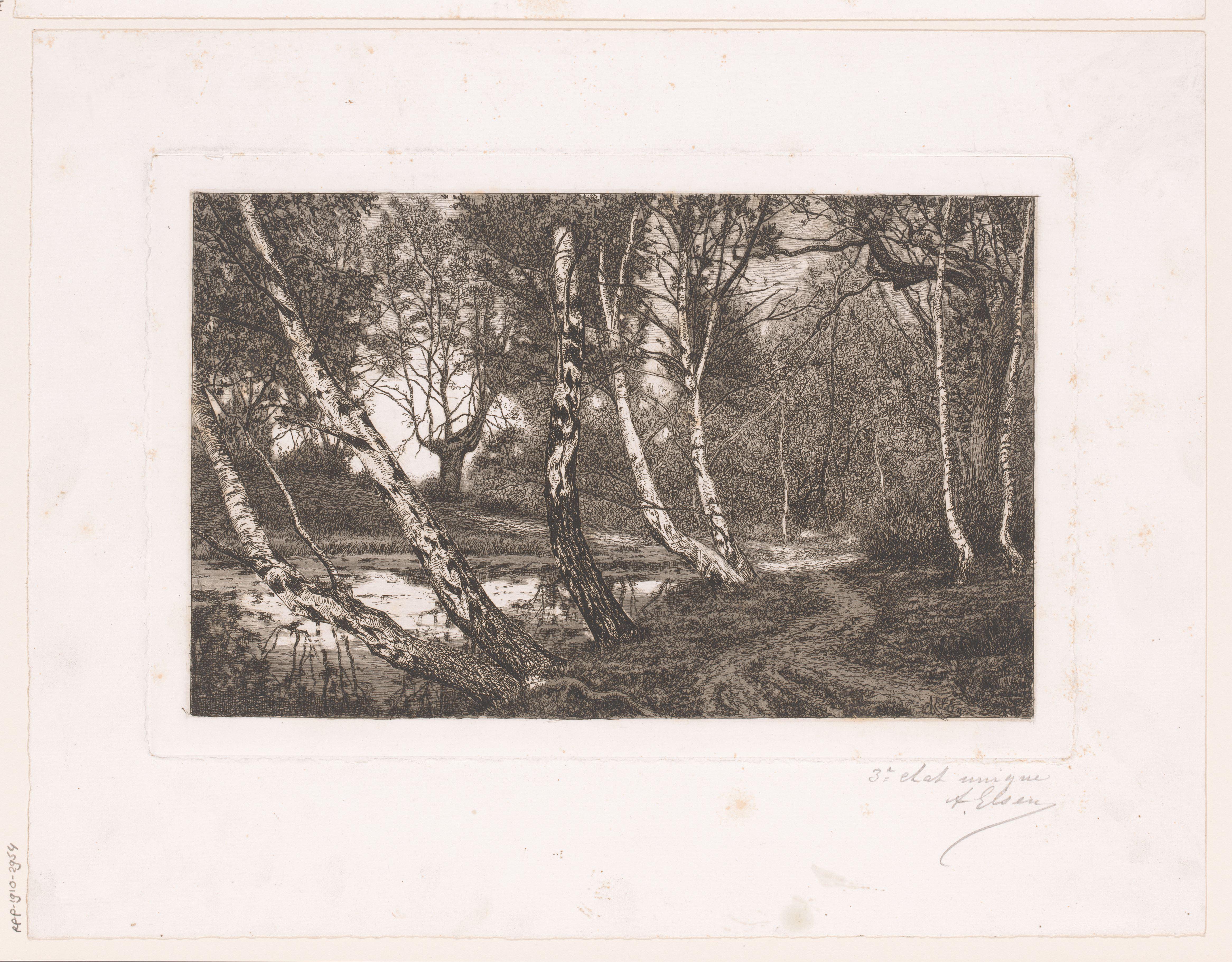 Landschap met berken langs een oever