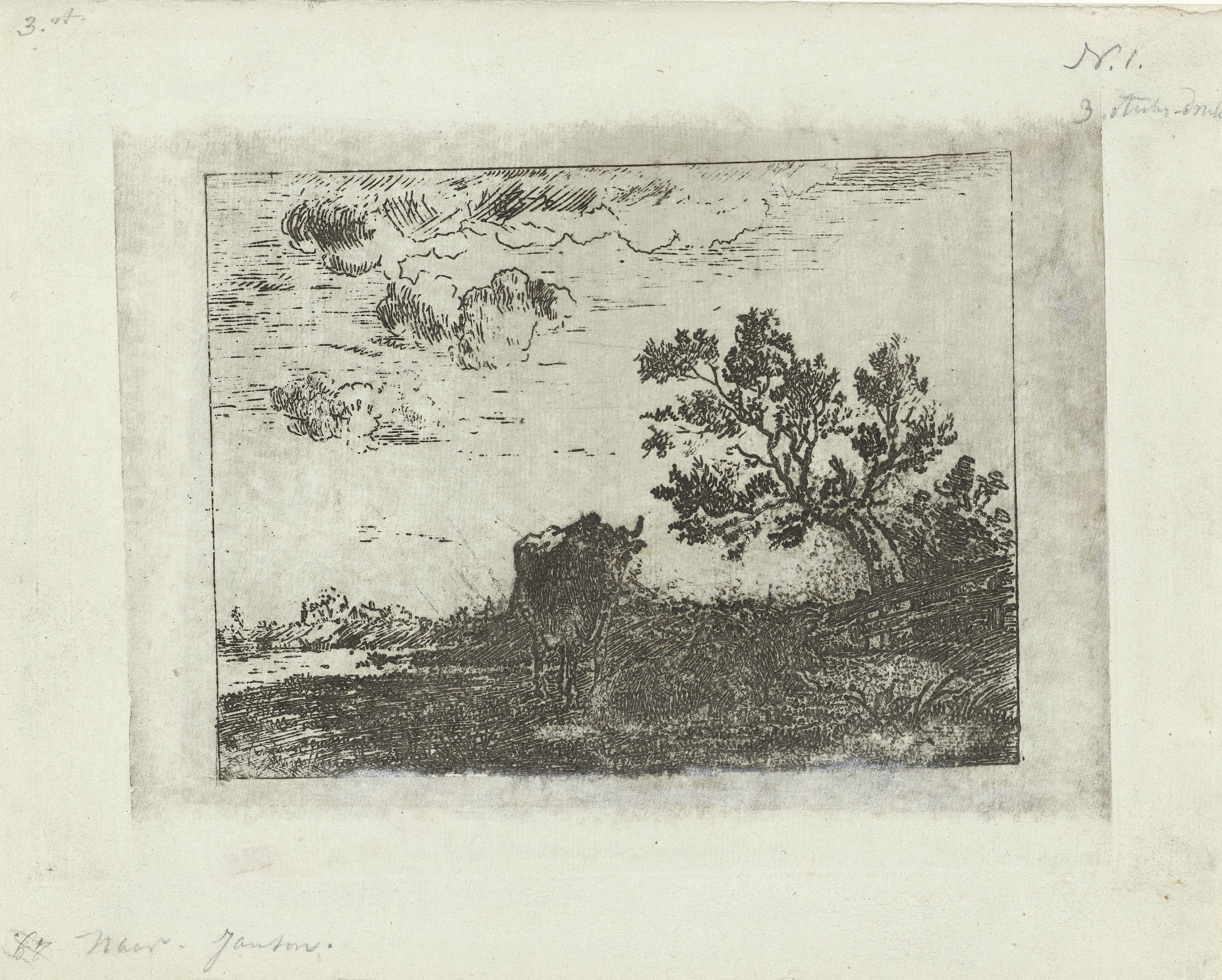 Landschap met koe