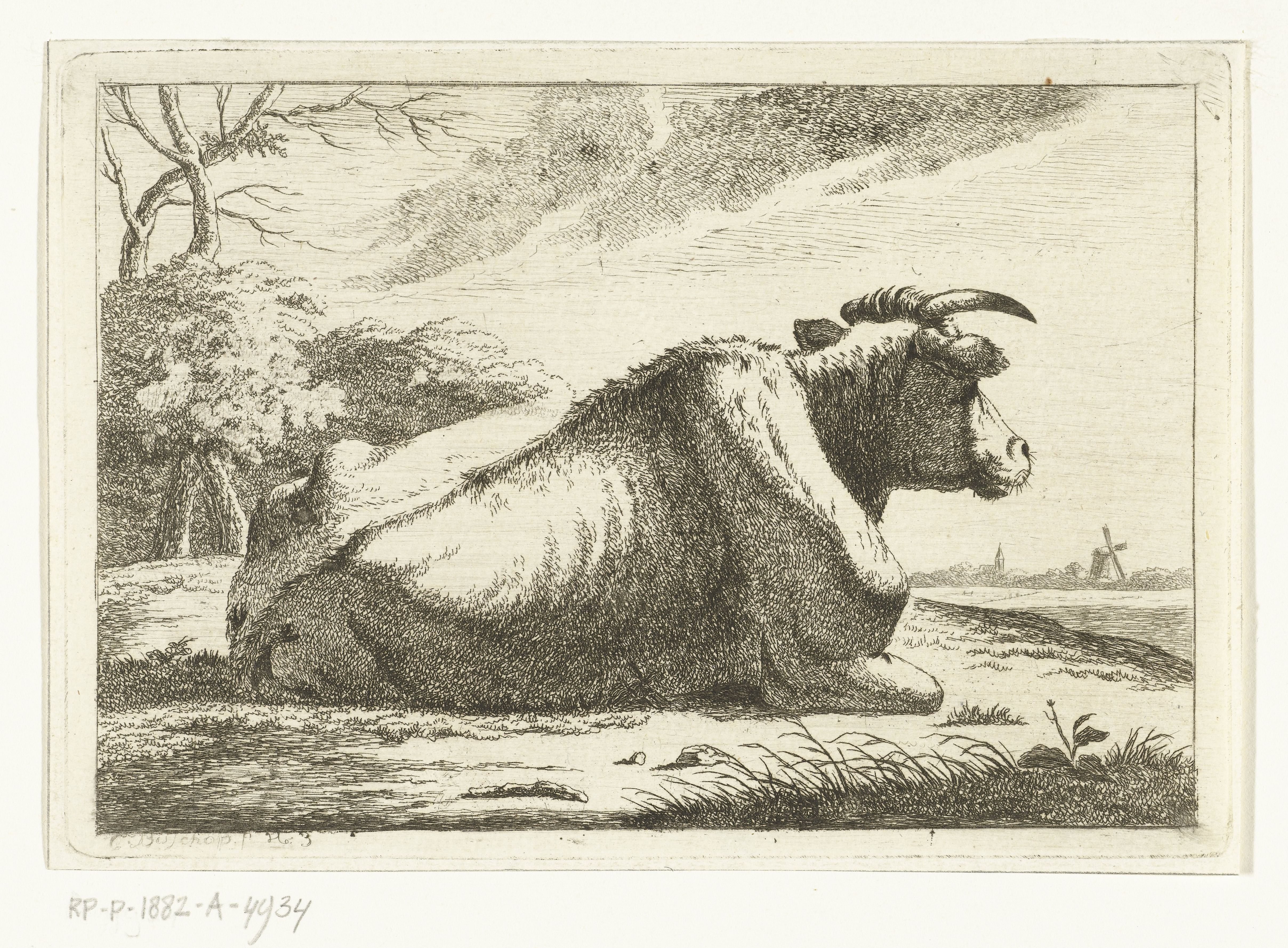 Landschap met liggende koe op rug gezien