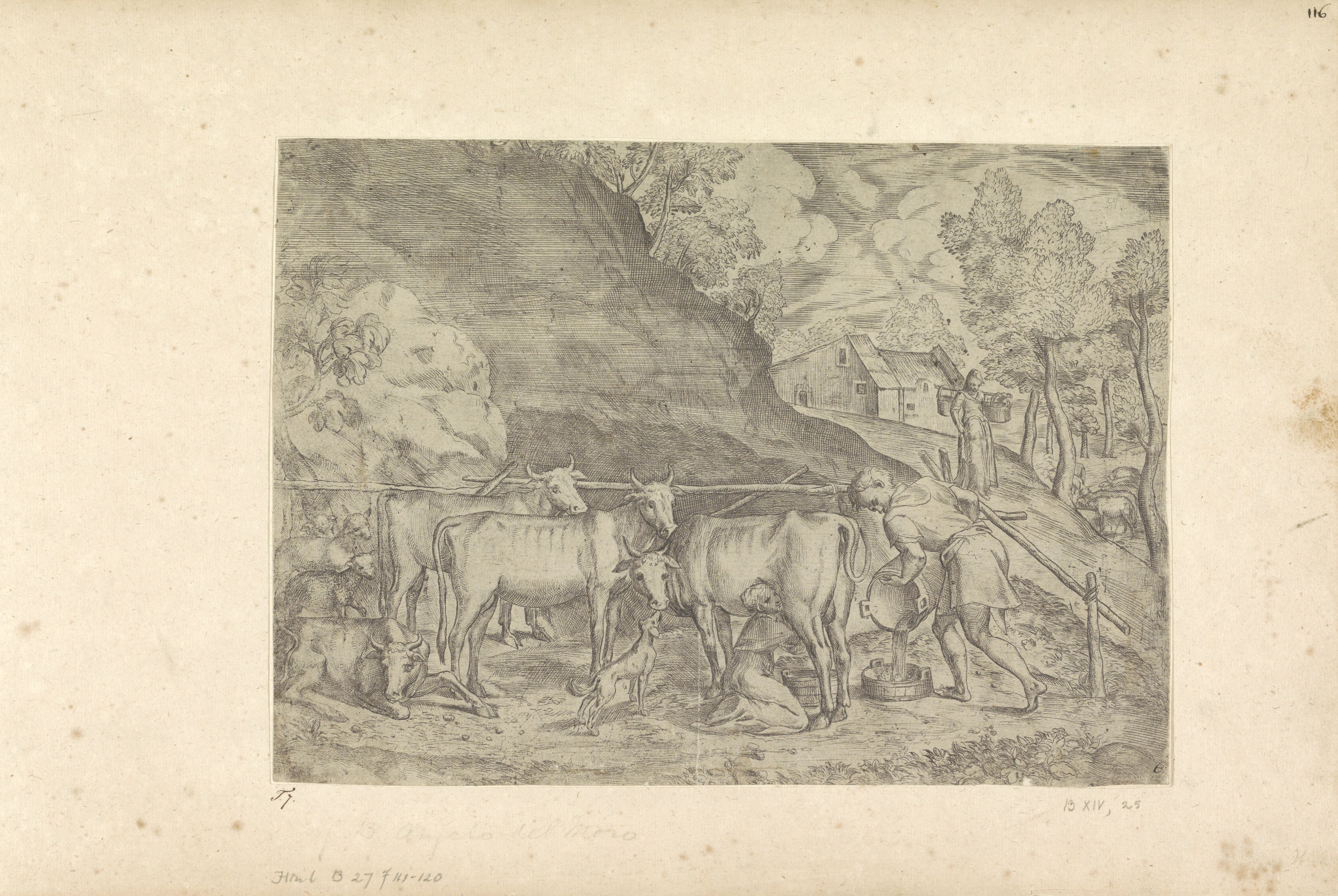 Landschap met melkkoe