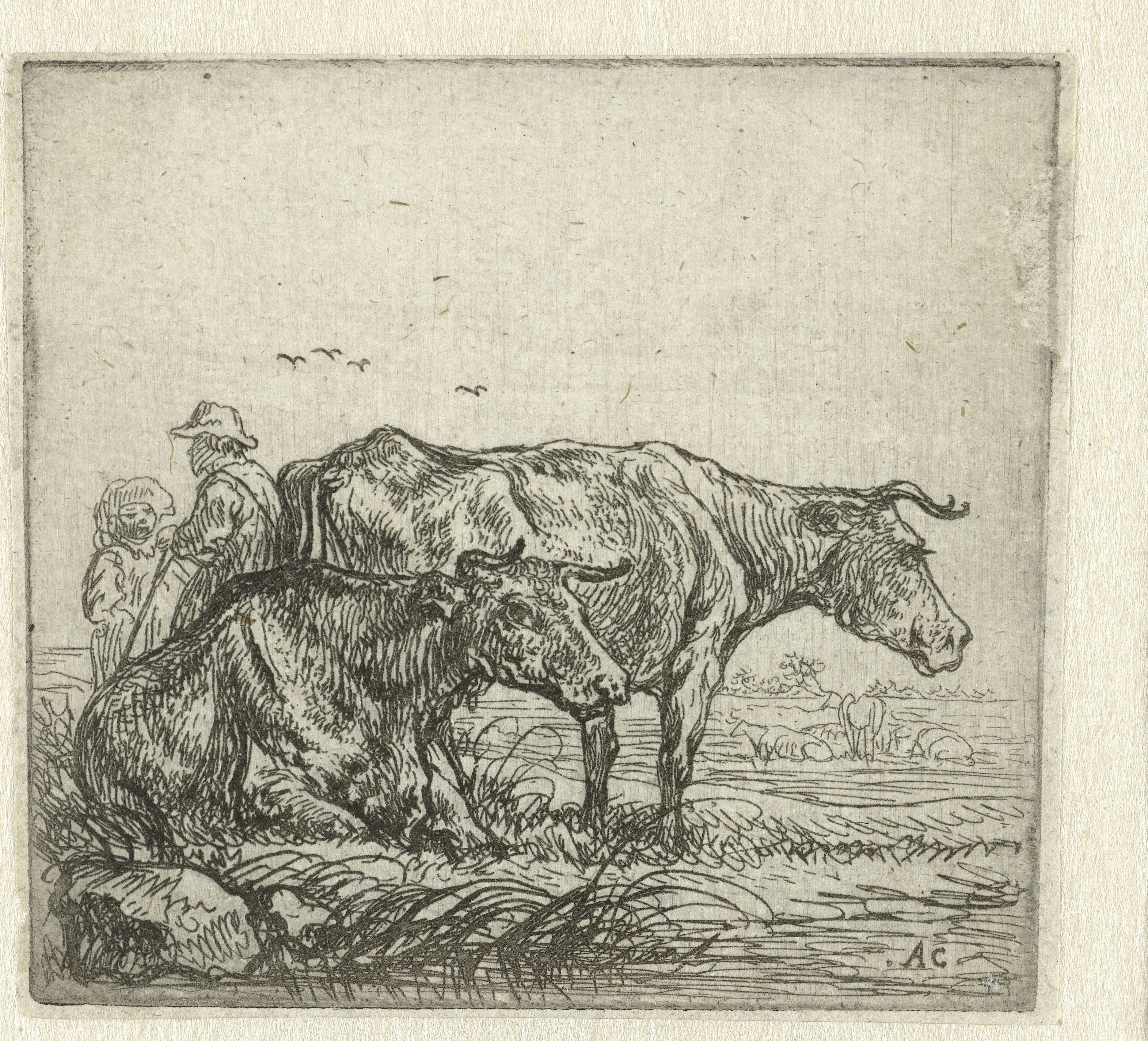 Twee koeien en herders