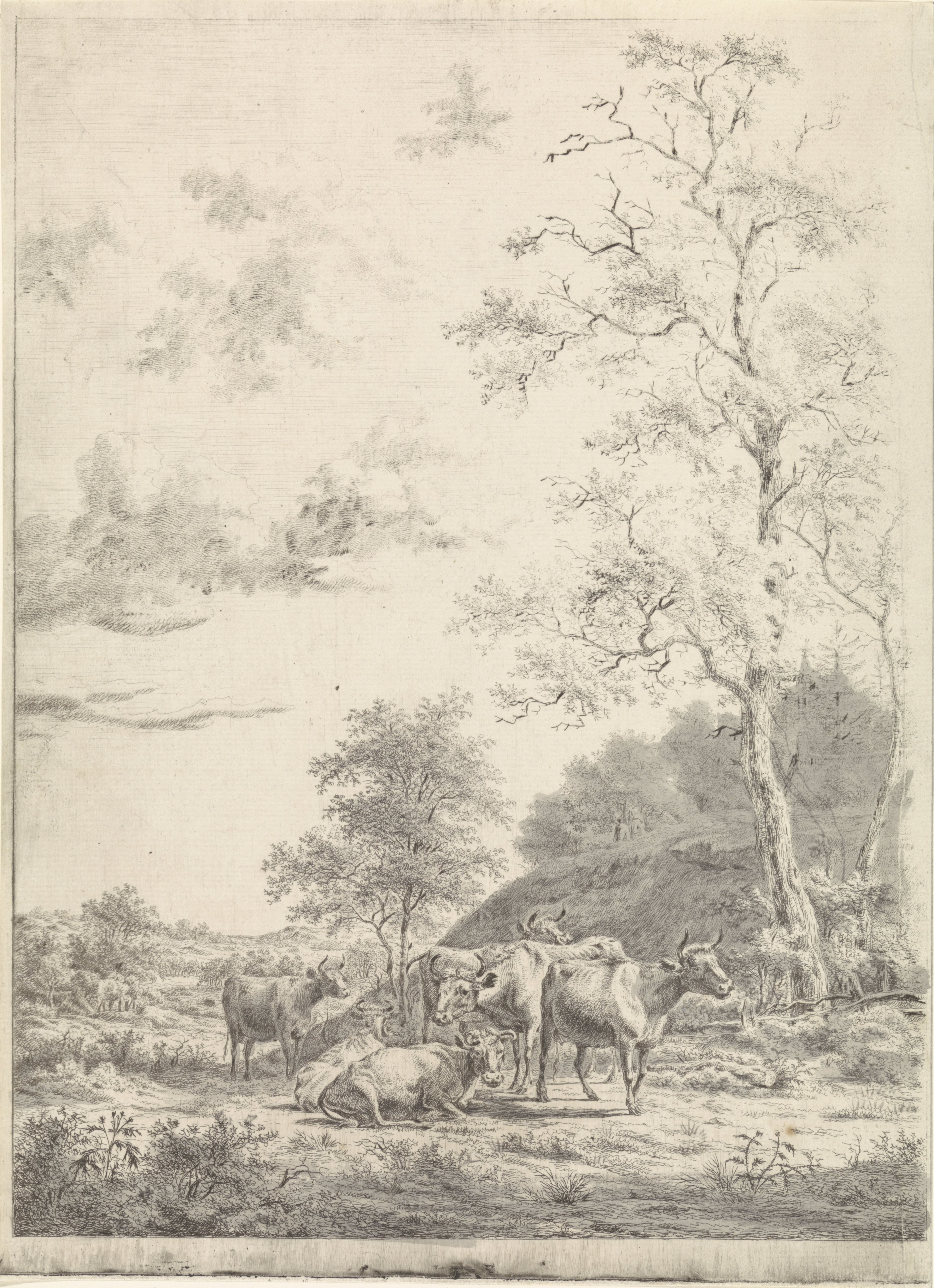 Boslandschap met zes koeien