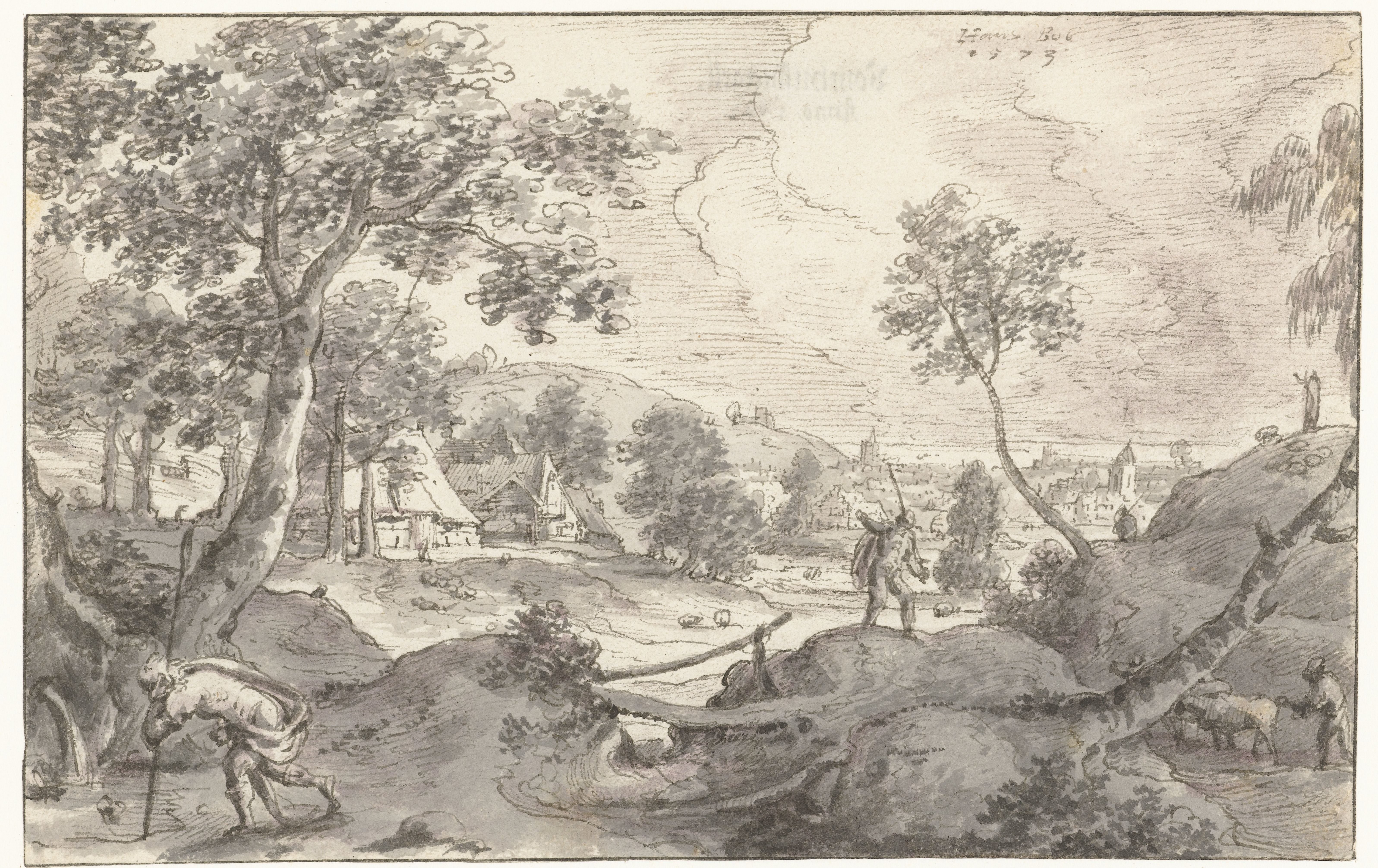 Narcissus